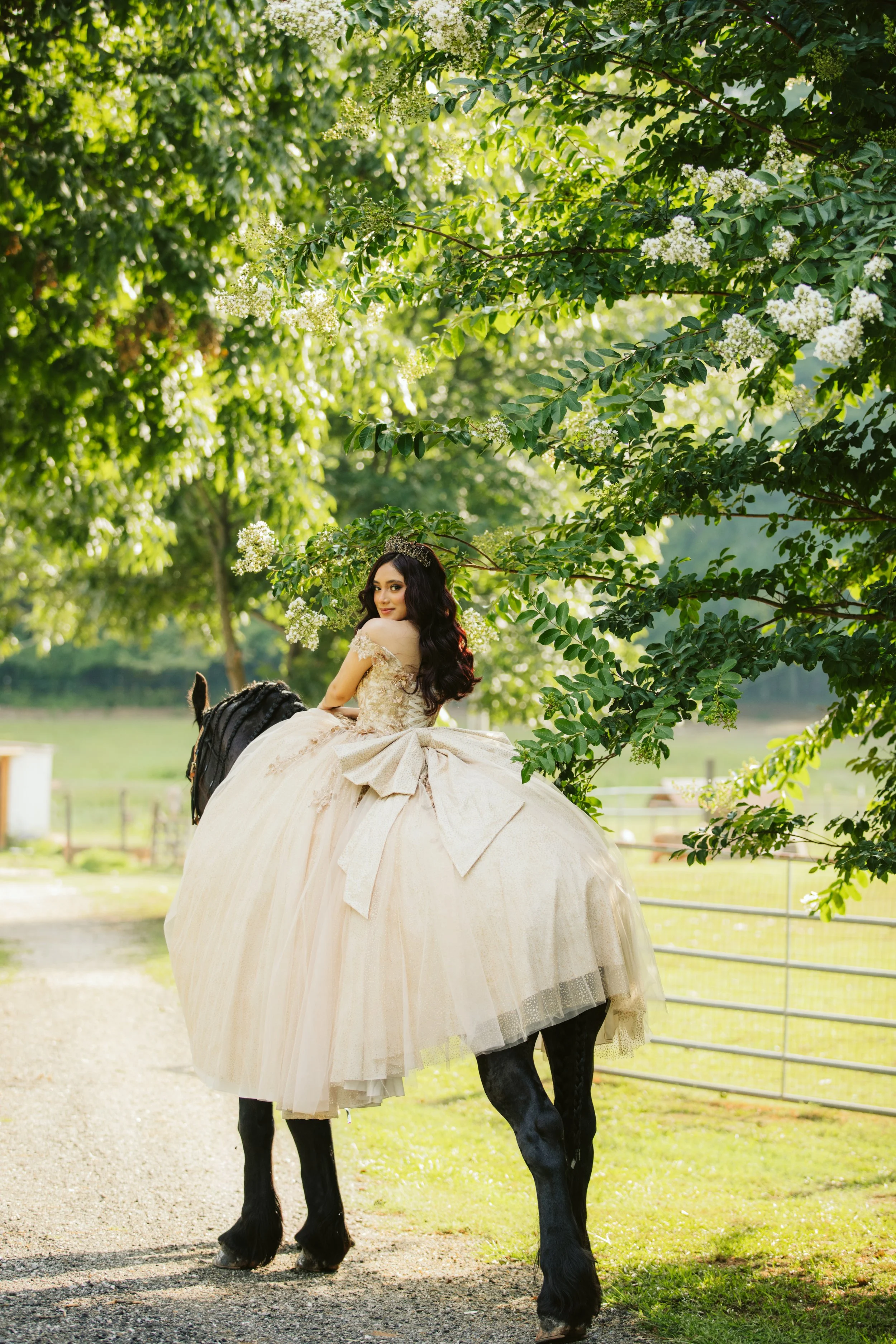 stephany-barboza-photography-quinceanera-ga-photographer1K9A3812.JPG
