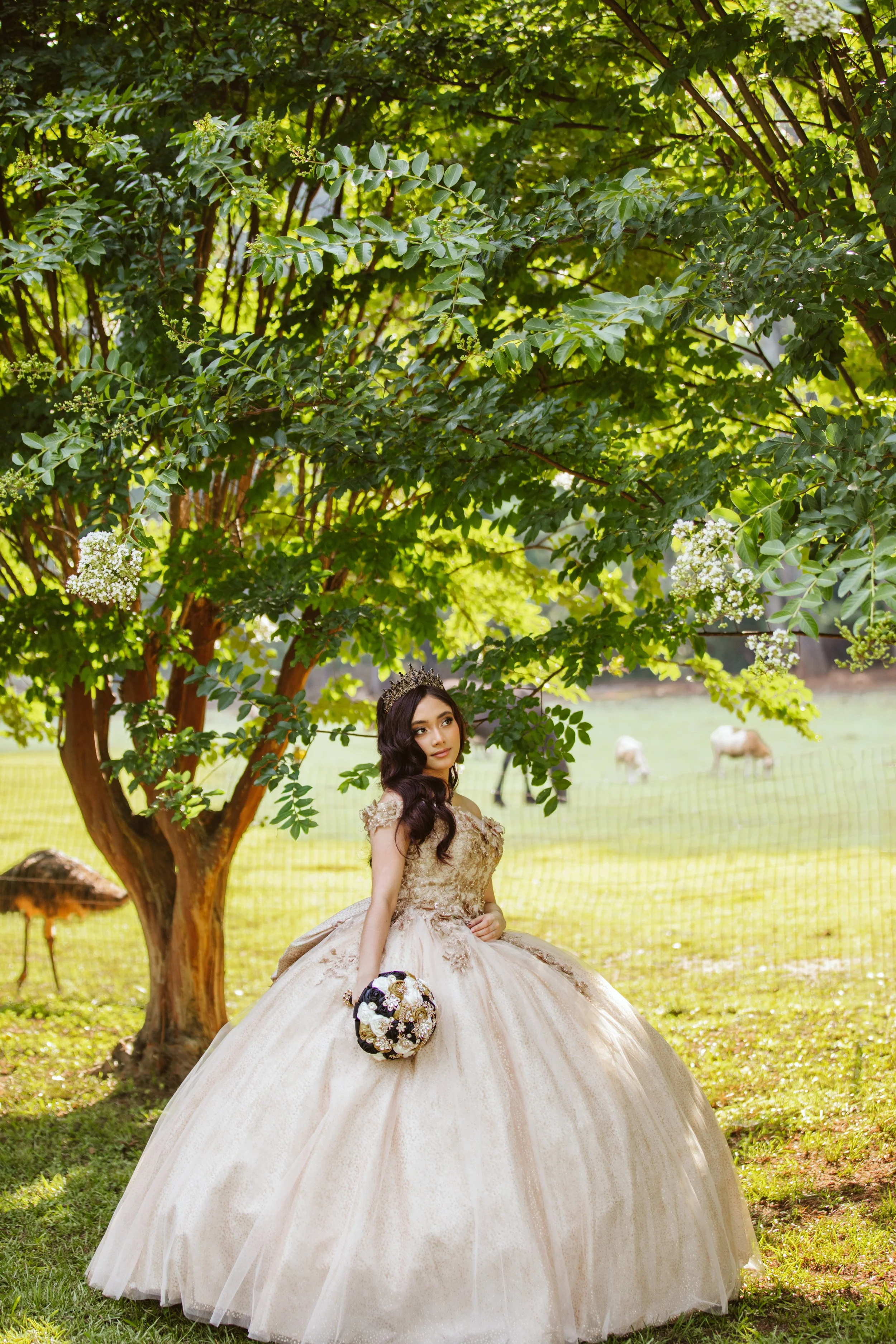 stephany-barboza-photography-quinceanera-ga-photographer1K9A3836.JPG