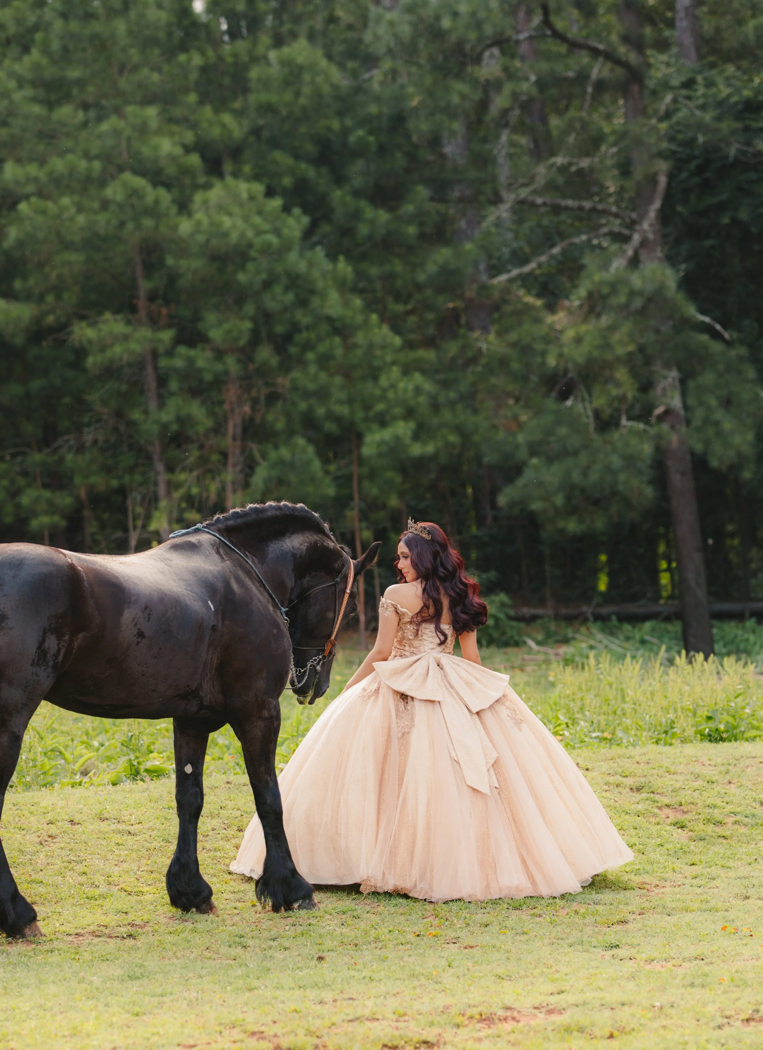 stephany-barboza-photography-quinceanera-ga-photographer1K9A3914.JPG