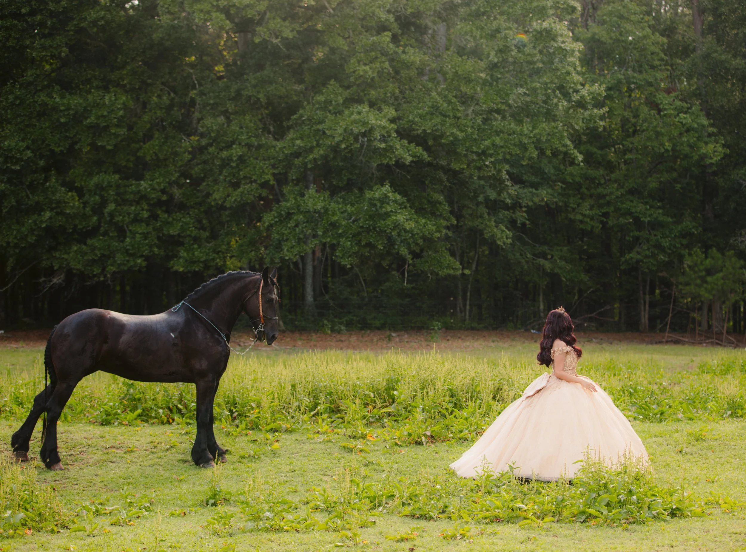 stephany-barboza-photography-quinceanera-ga-photographer1K9A3904.JPG