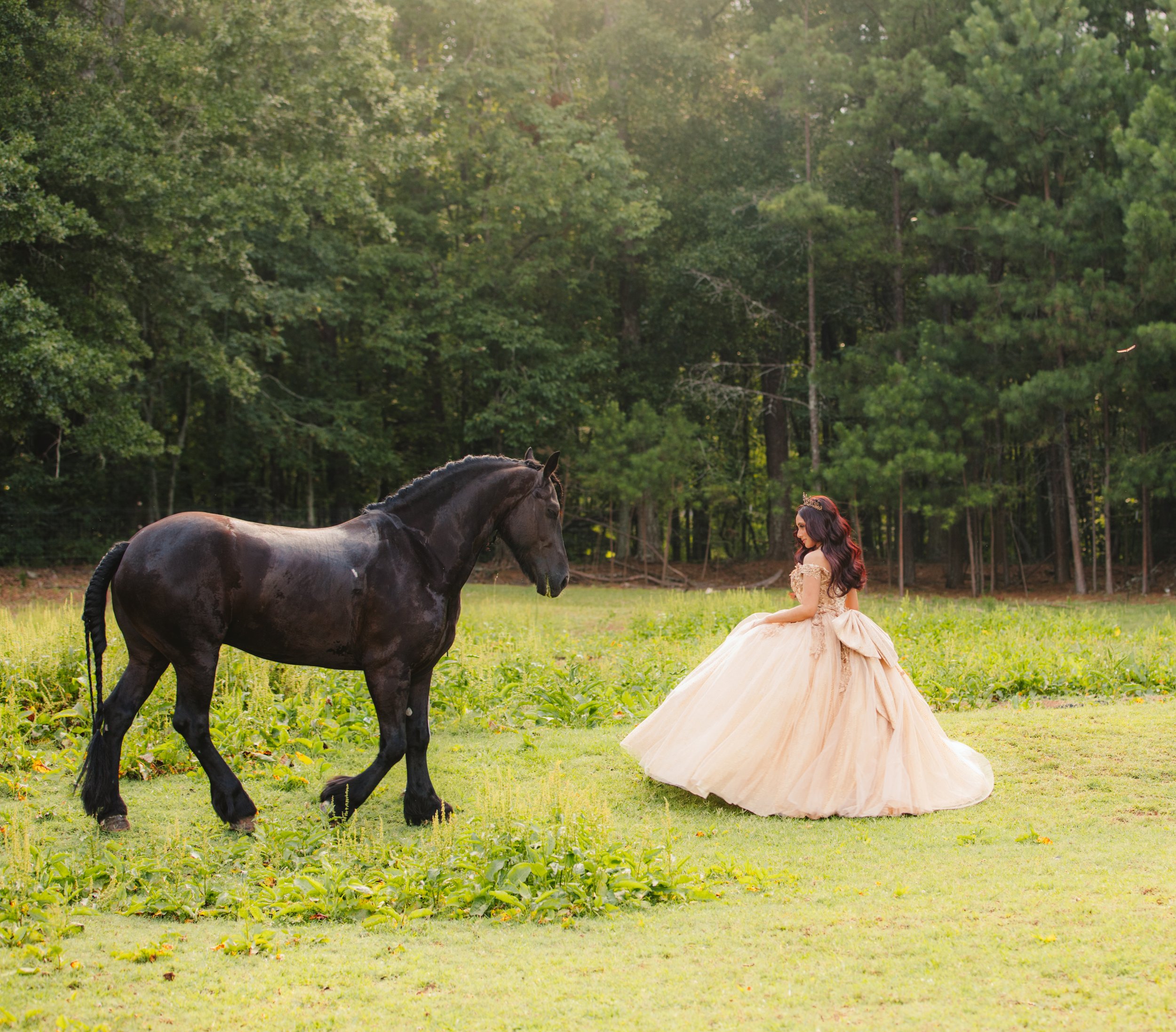 stephany-barboza-photography-quinceanera-ga-photographer1K9A3942 2.JPG