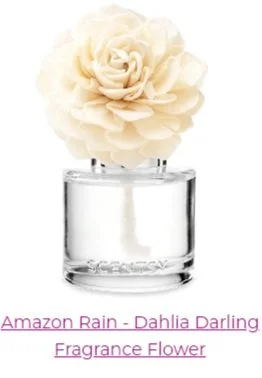 Screenshot 2024-03-14 075507.jpg