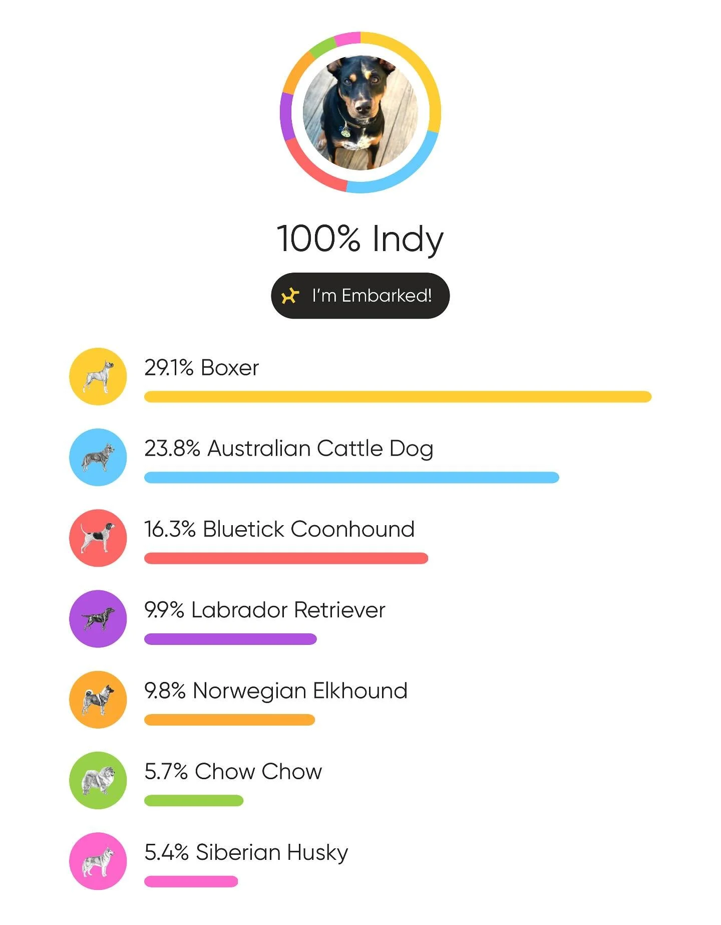 #embark #mixedbreed #rescuedog #therapydog