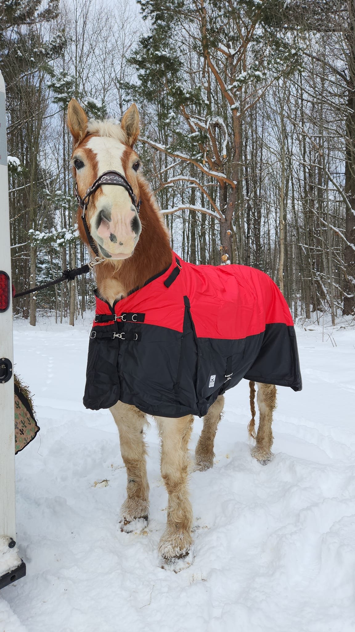 February 22nd Letter from the Farm