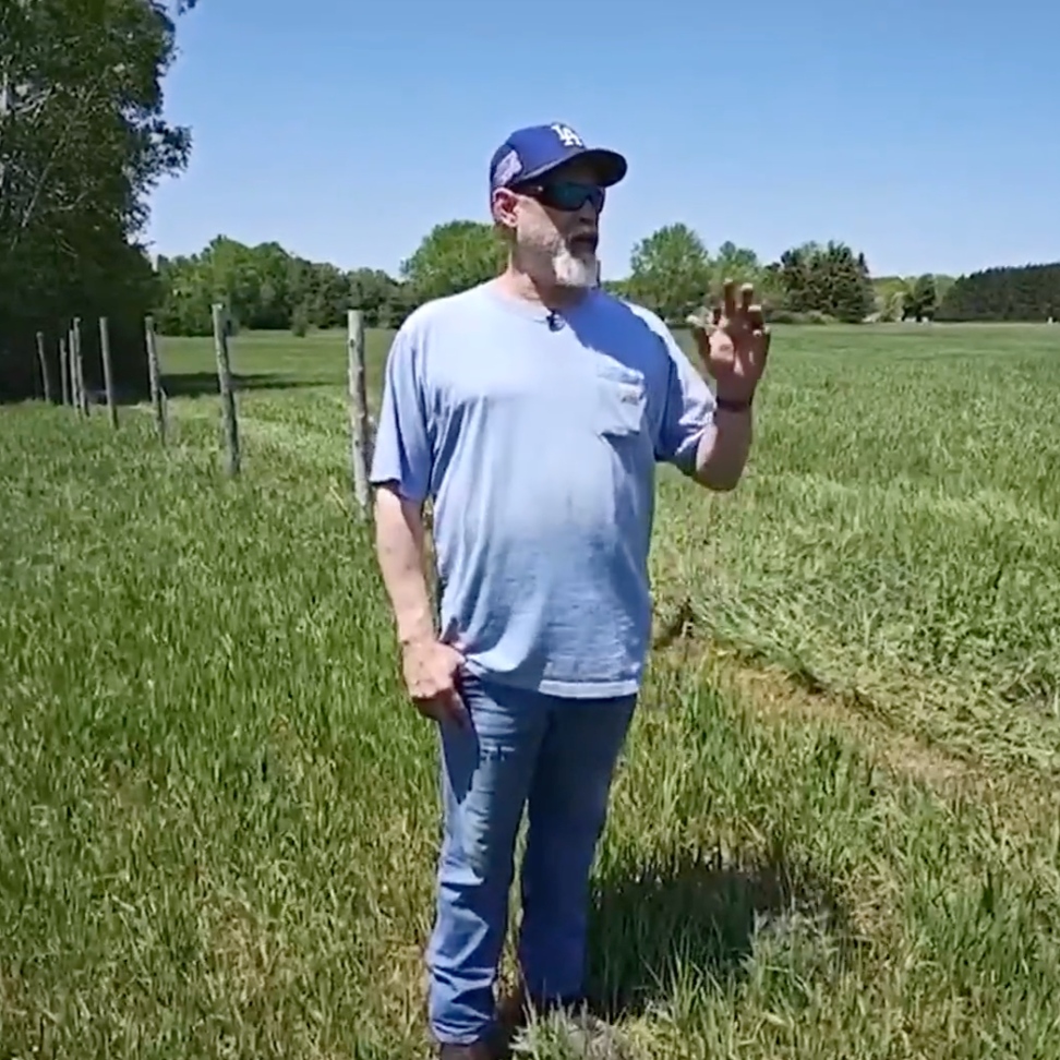 Fence Installation for Sheep