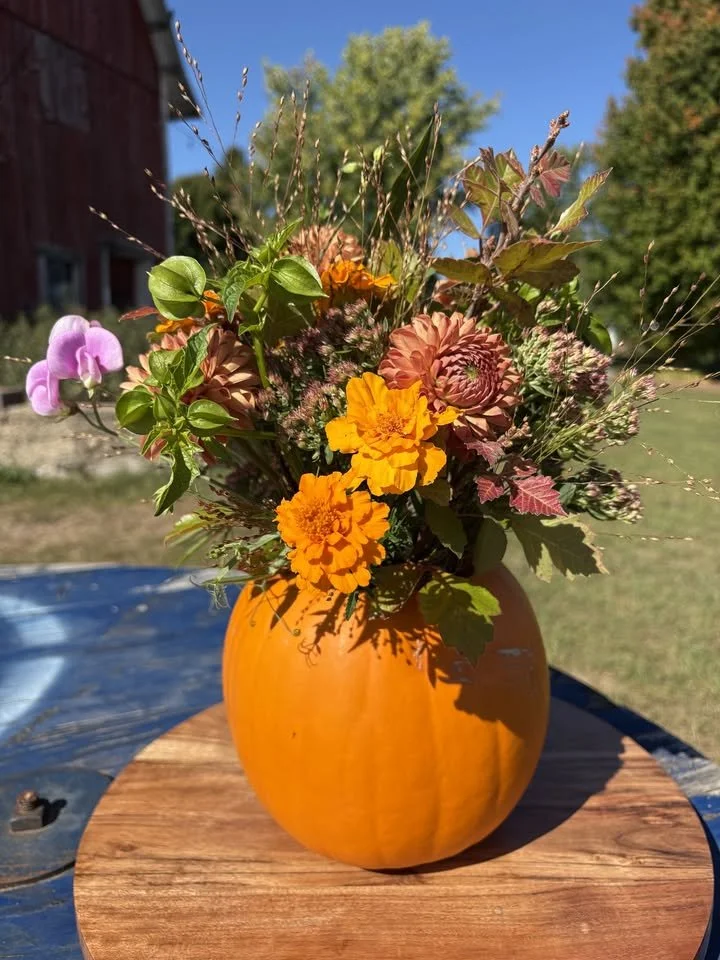 Pumpkin Bouquets with More Joy Farm