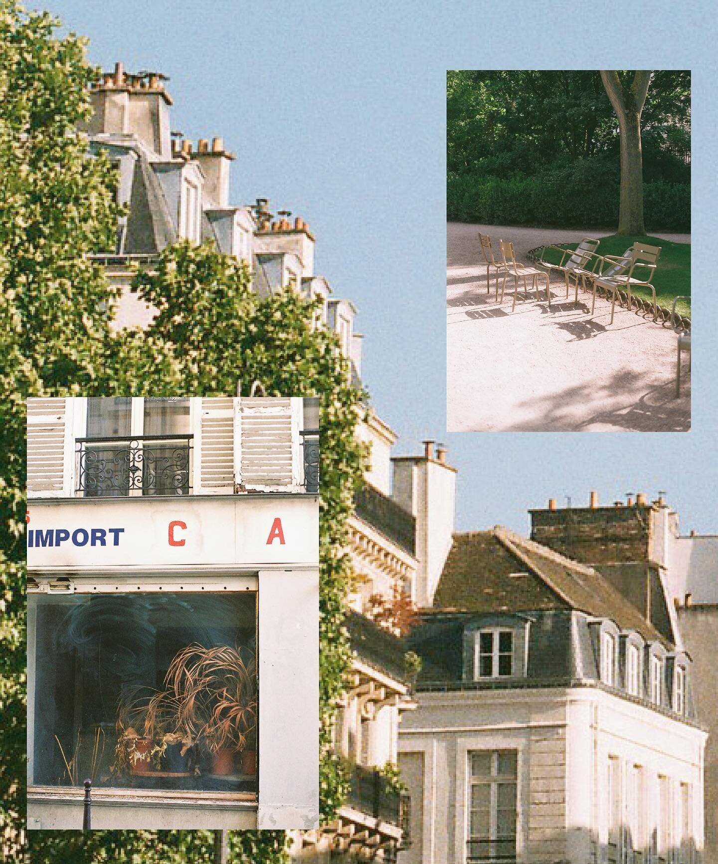 A well aged and expired Paris of last spring 📔🥖🎞️