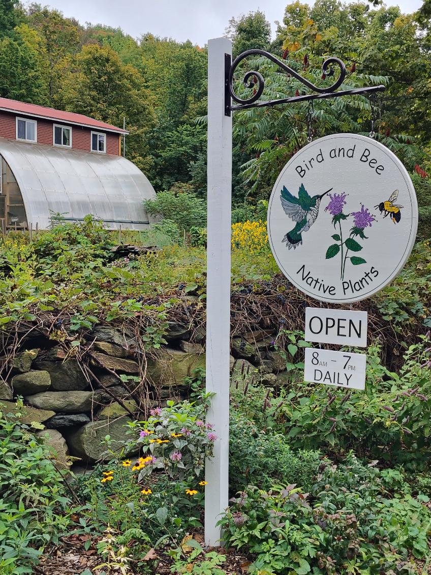 Bird and Bee: Native Plants -- greenhouse and sign