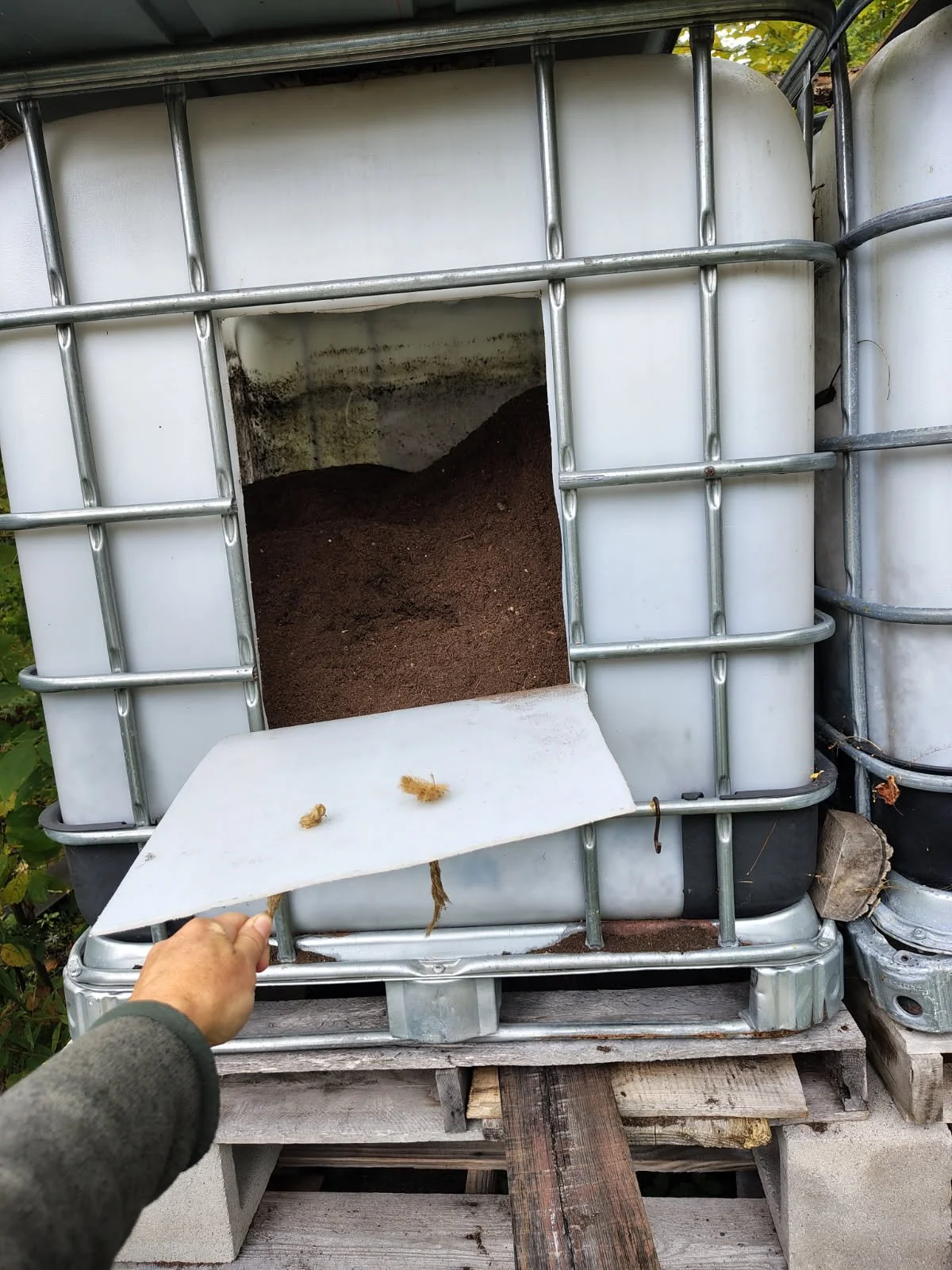 Bird and Bee: Soil System