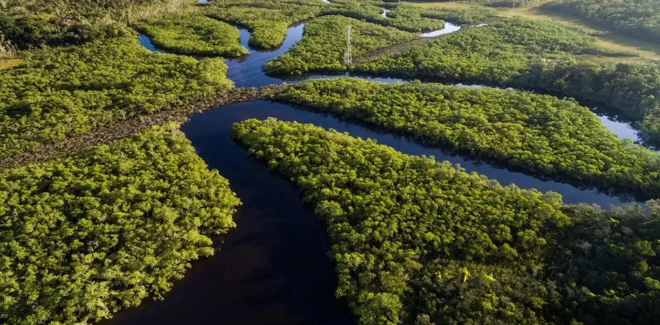 From South America to U.S.: What Environmental Defenders’ Legal Challenges Can Teach Us About Fighting for Climate Justice