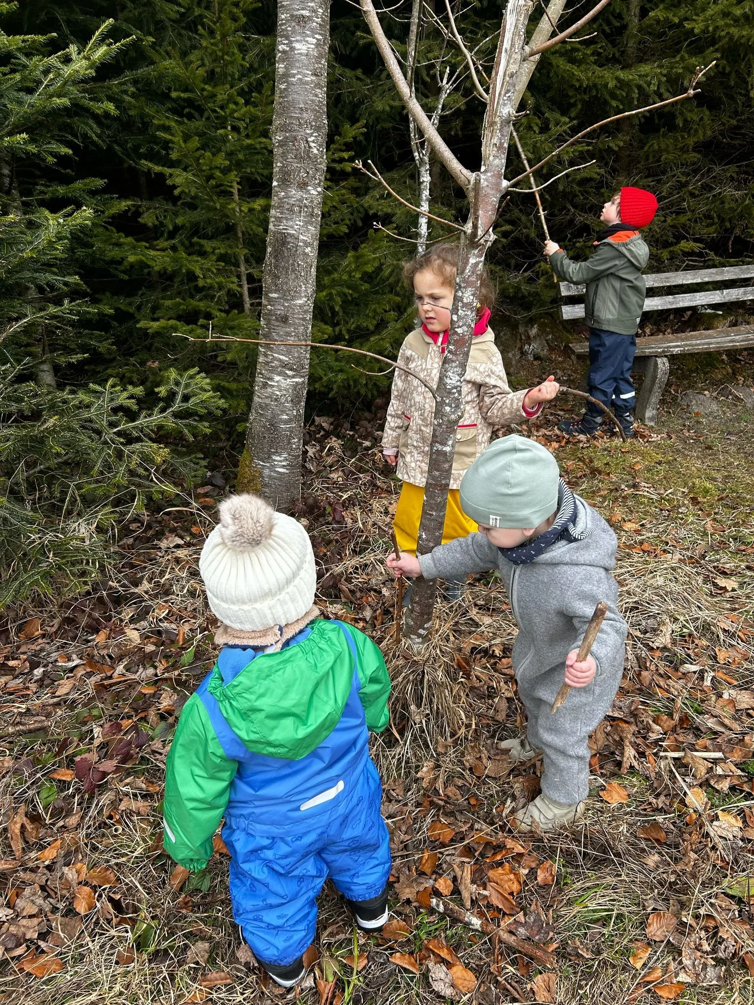 IMG-20250224-WA0013[1].jpg