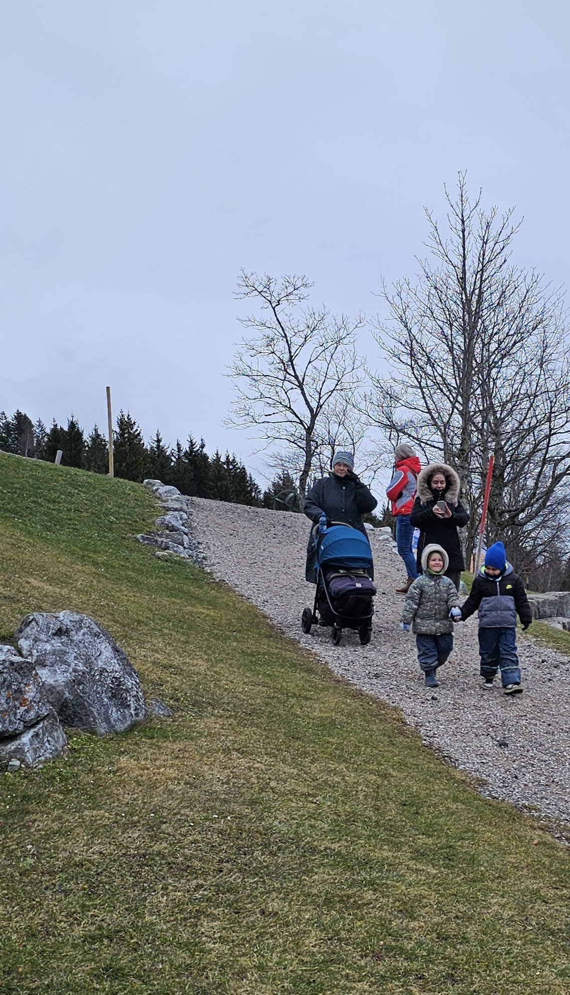 IMG-20250227-WA0016[1].jpg