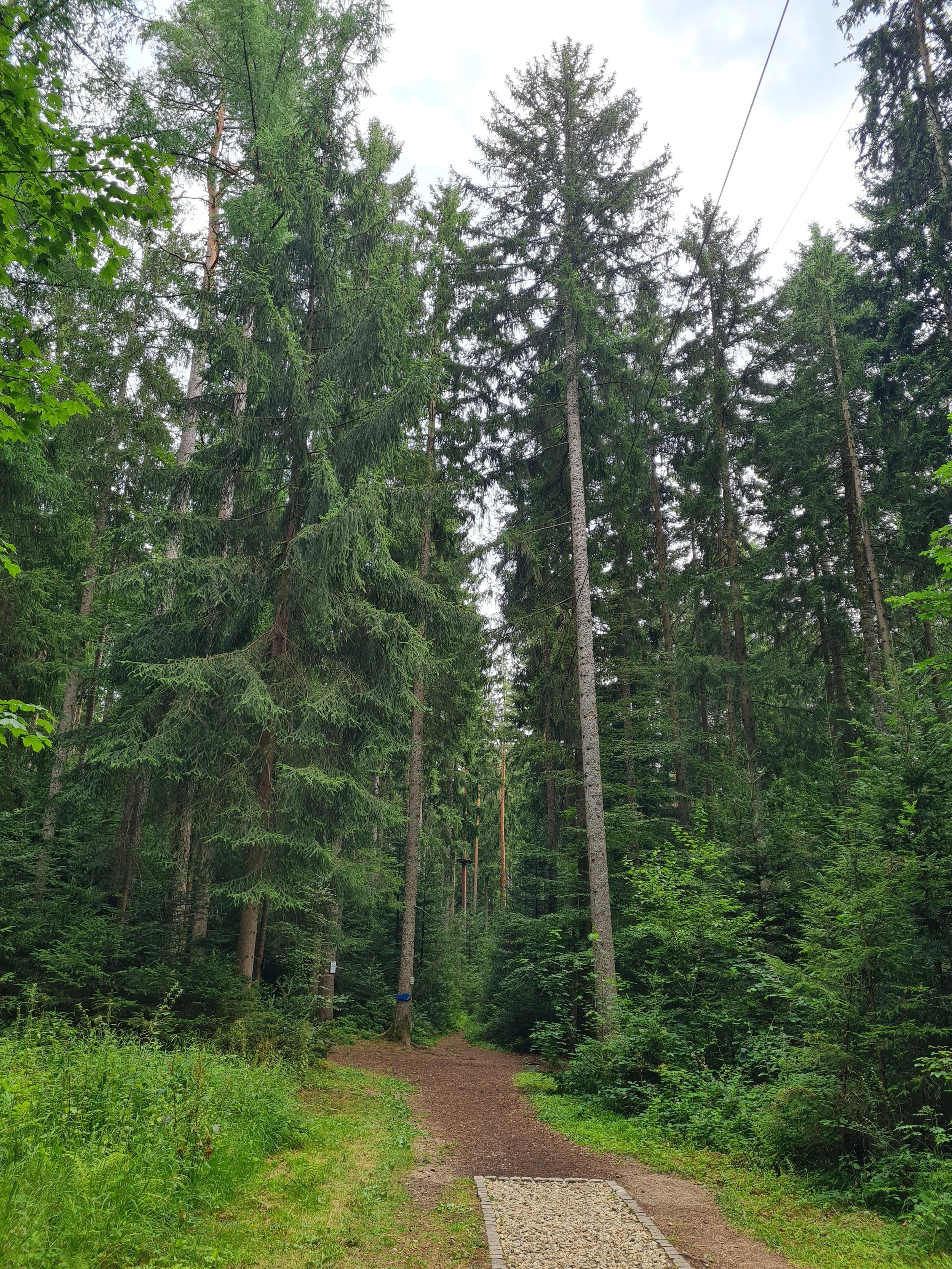 20250719_141953[1].jpg