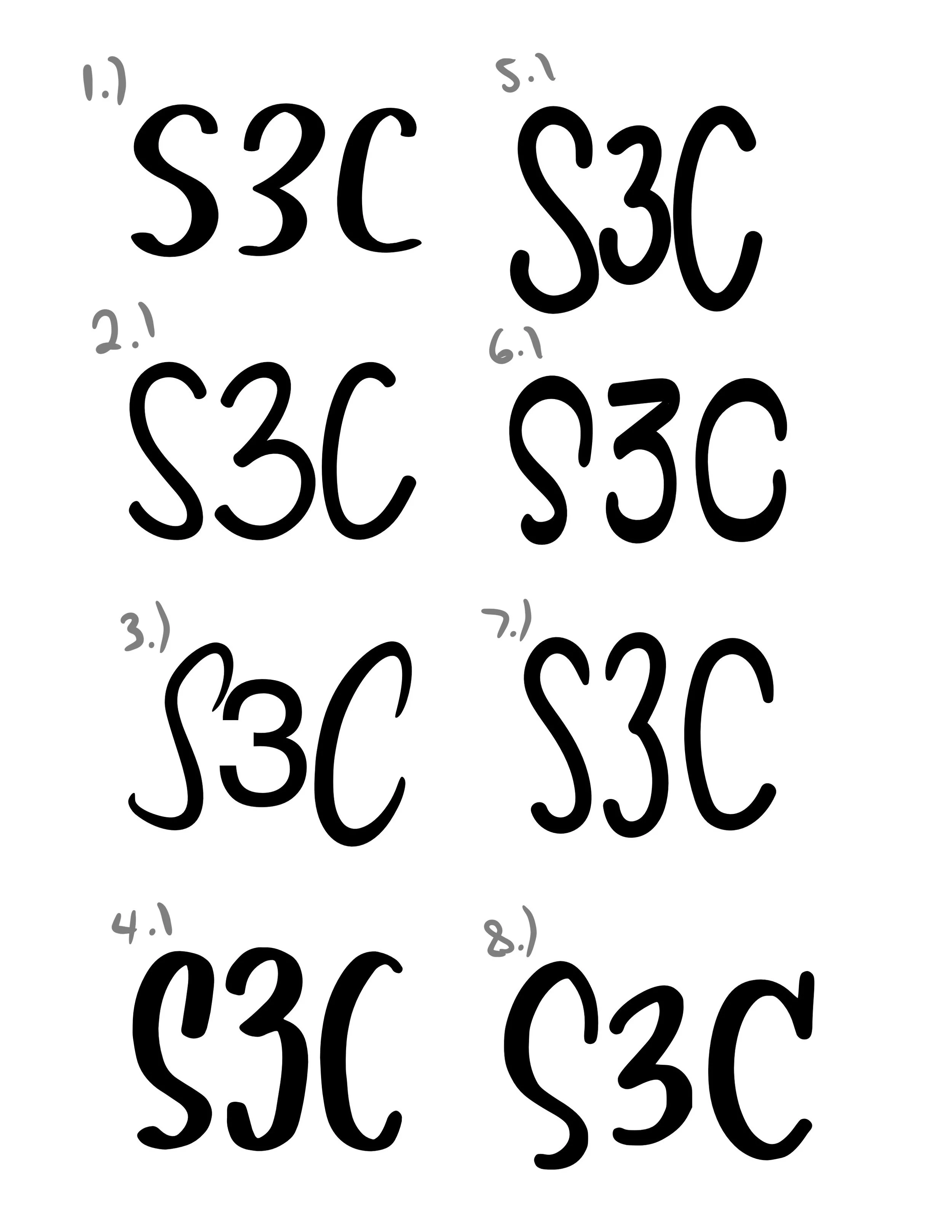 S3C Typography Concepts
