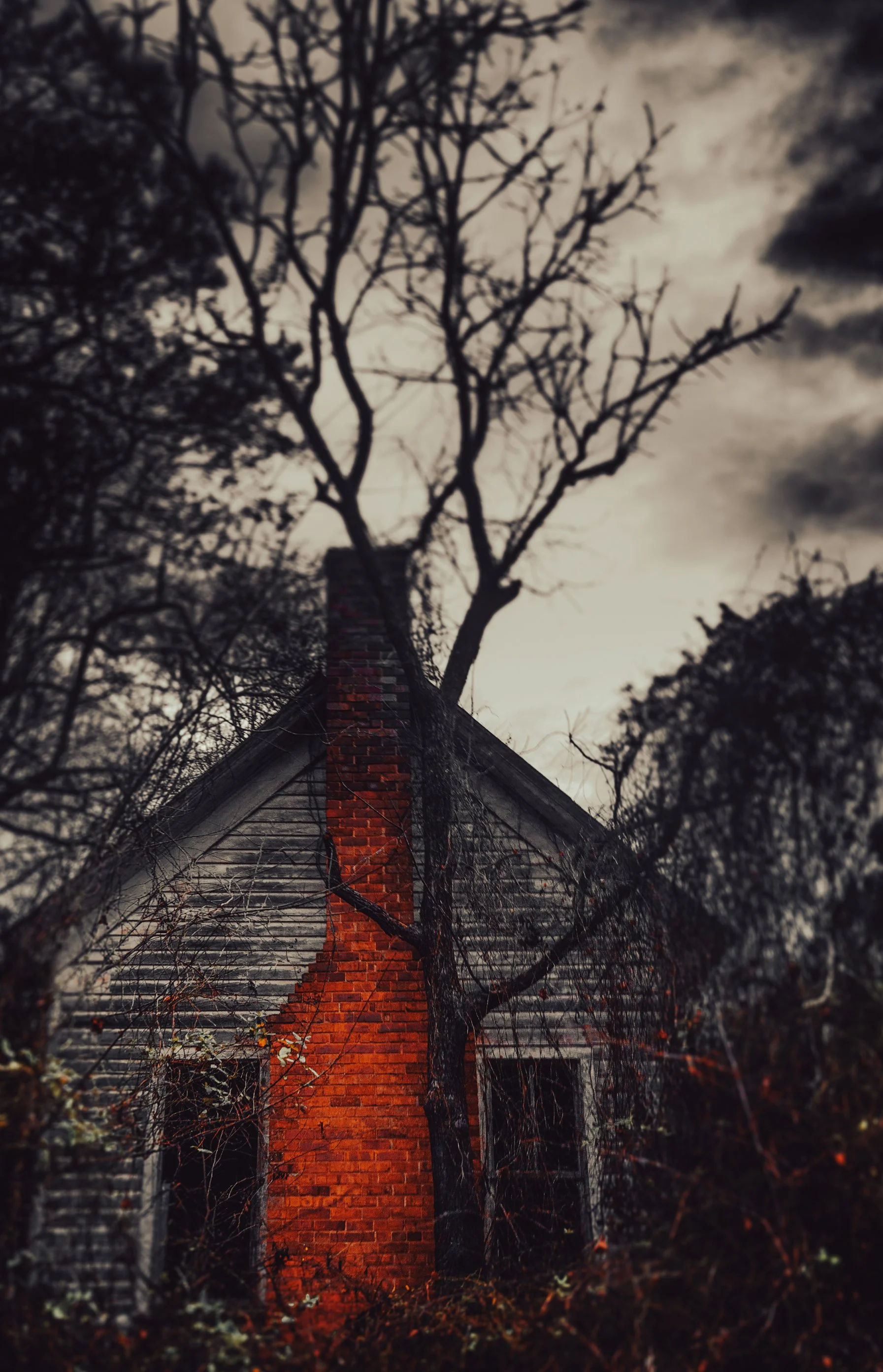 010522-selma-abandonedhouse3.jpg