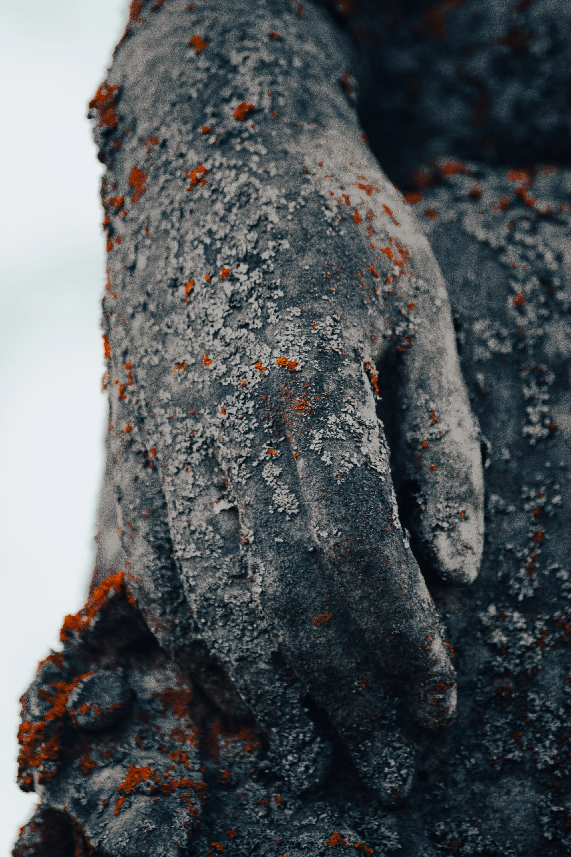 040121-cemetery-hand.jpg
