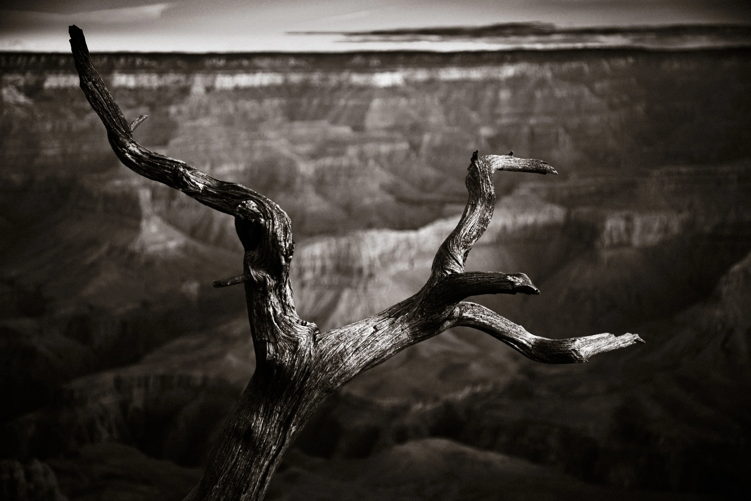 2023A_bigwall_hannahturner2 copy.jpg