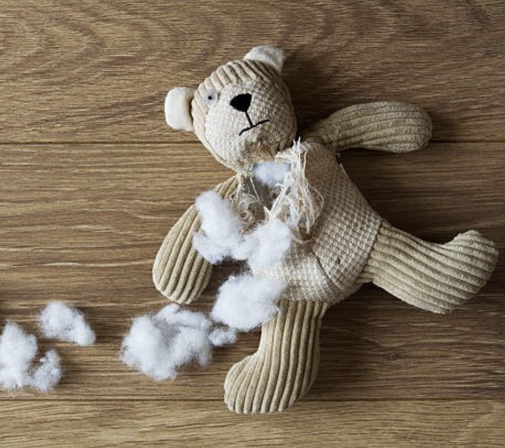 3rd Annual Stuffed Animal Build