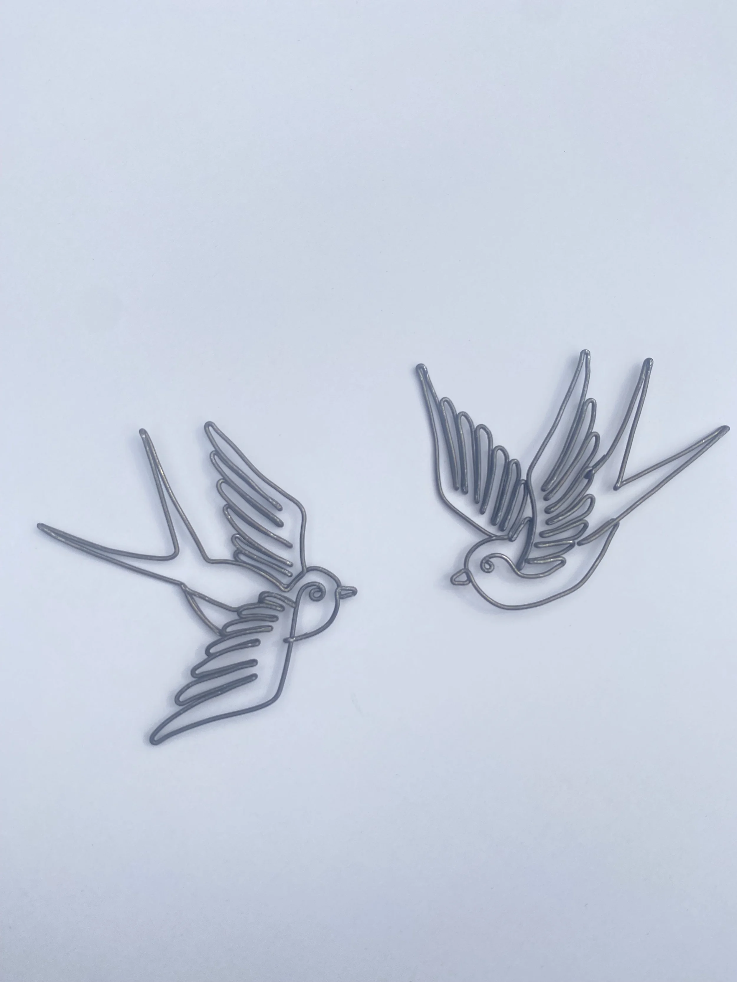 Swallows