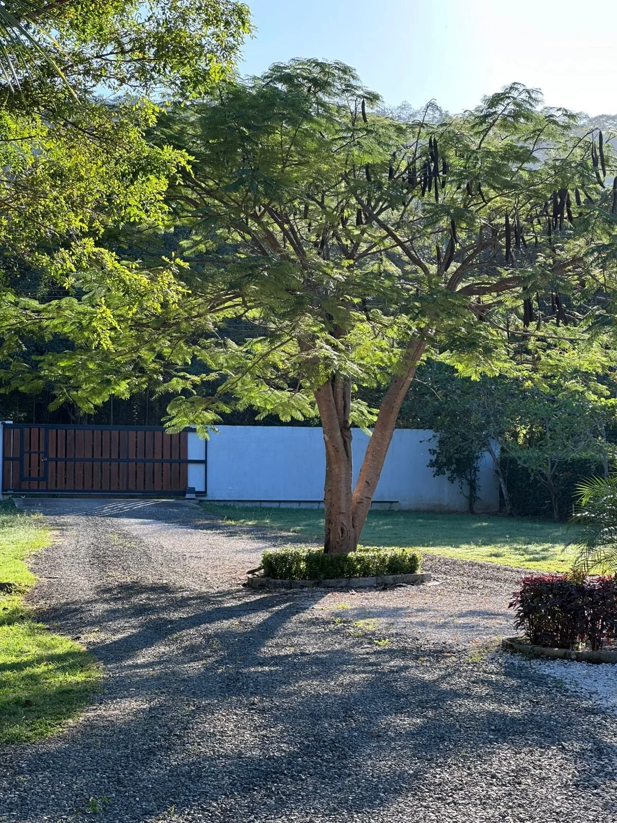 PHOTO-2025-11-19-16-32-40 2.jpg