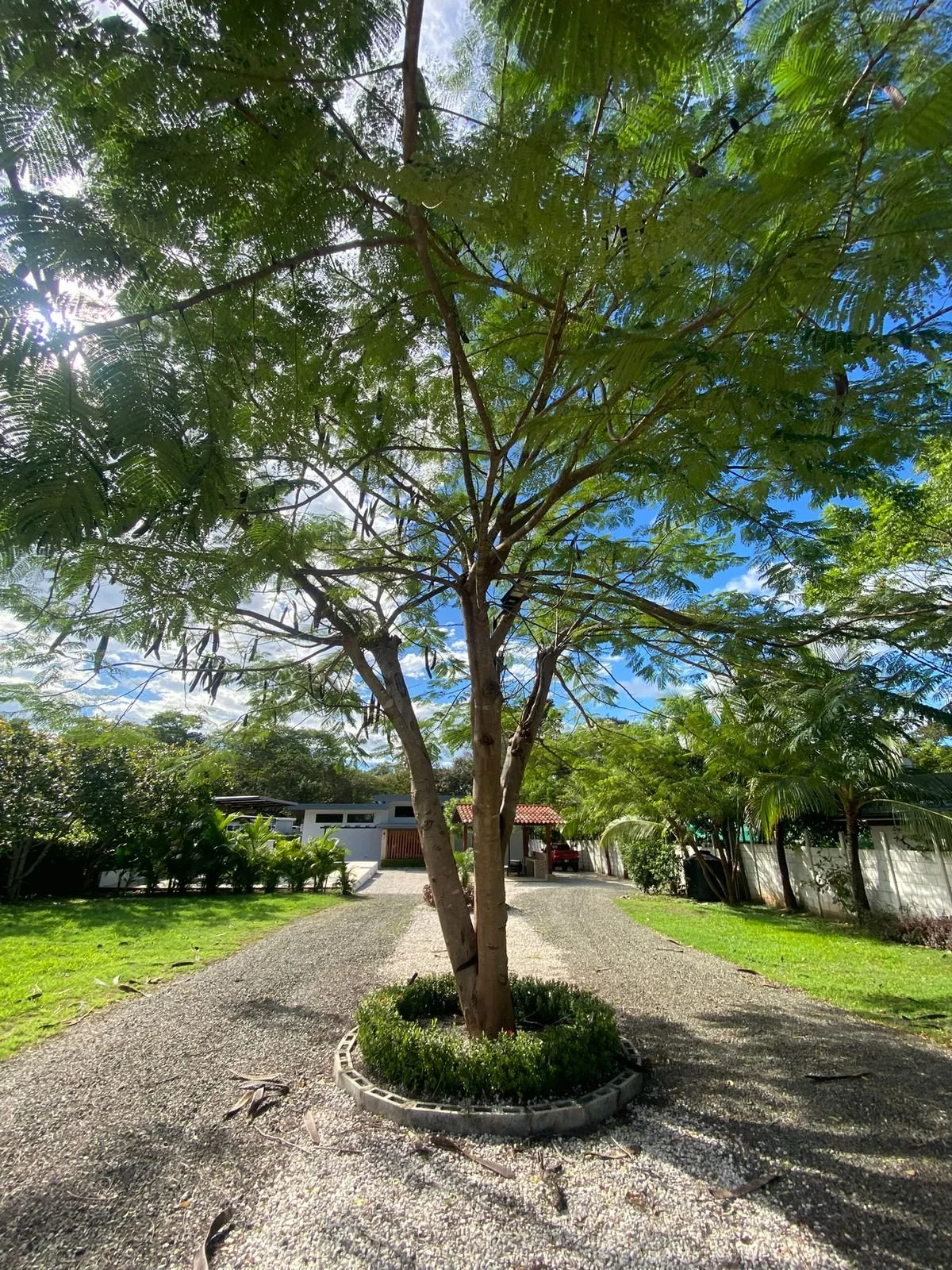 PHOTO-2025-11-19-16-32-43 4.jpg