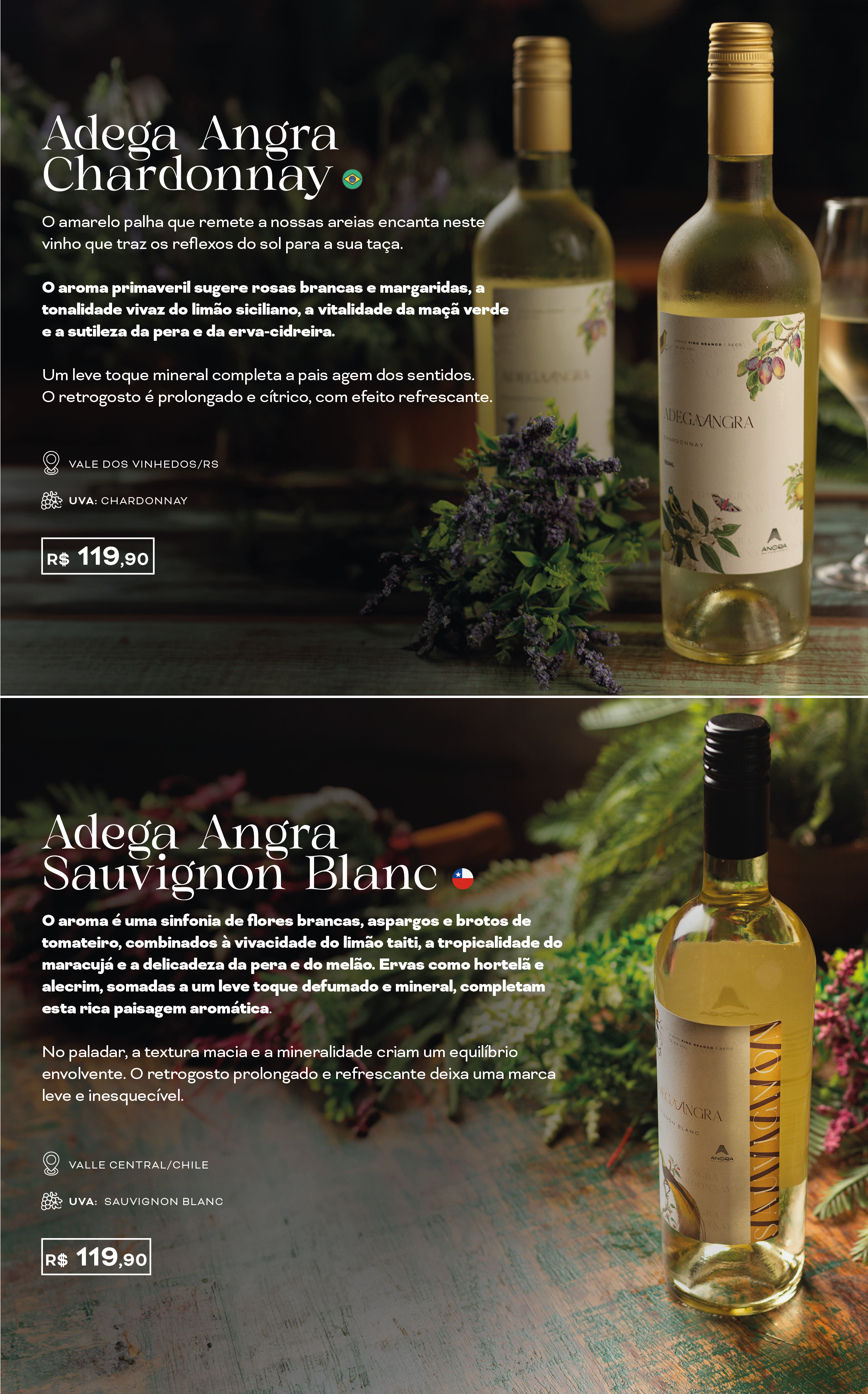 carta de vinhos final-06.png