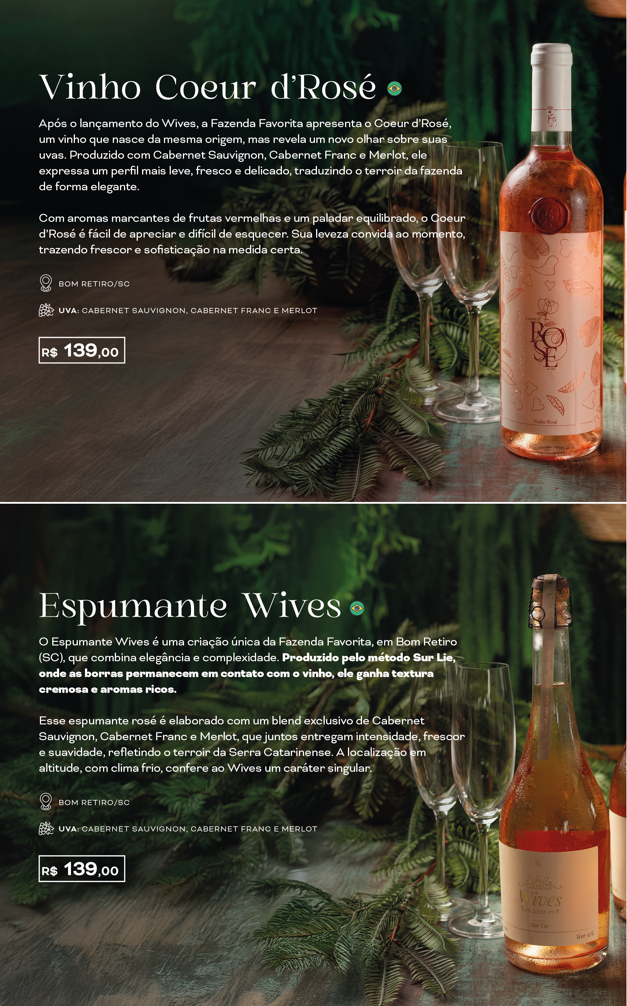 carta de vinhos final-07.png