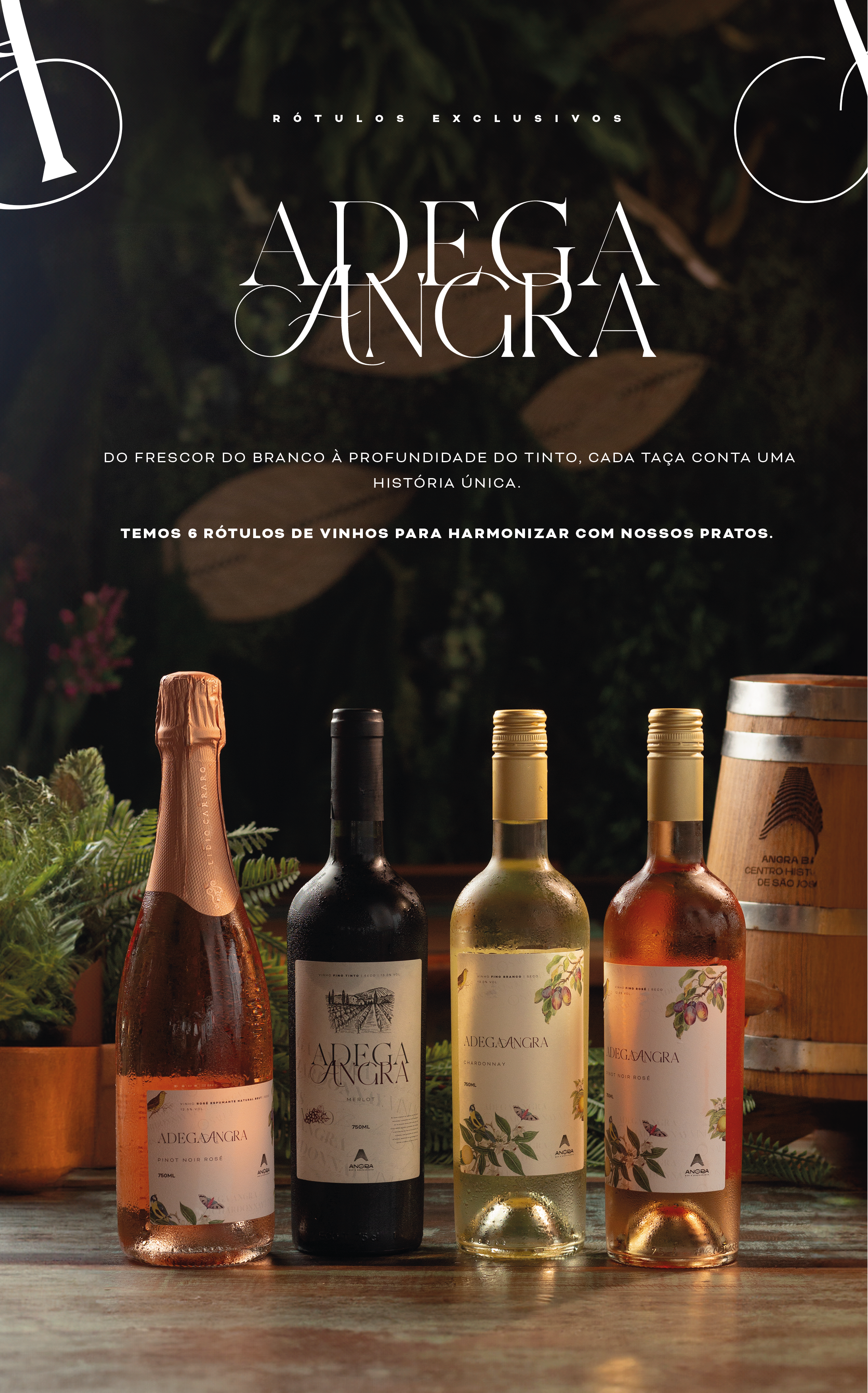 carta de vinhos final-03.png