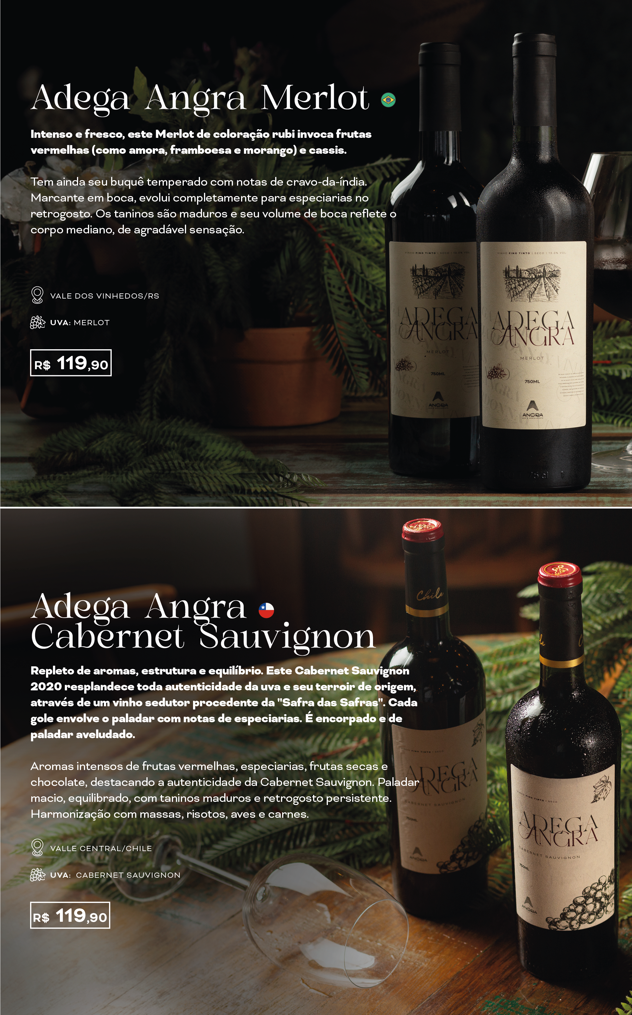 carta de vinhos final-04.png