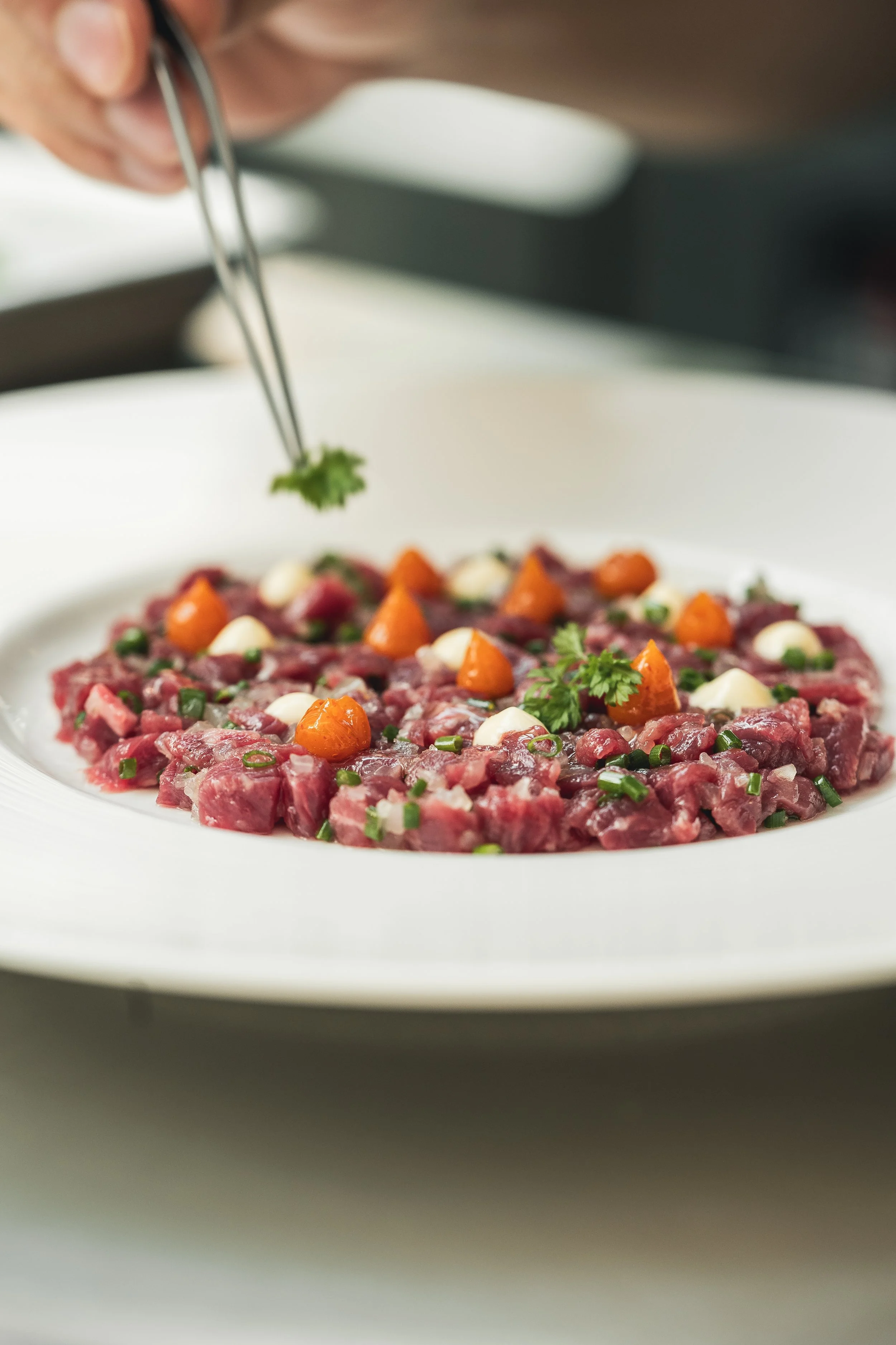 Close-up of raw beef tartare garnished with small dollops of white sauce, orange carrot cubes, chopped green herbs, and a sprig of parsley on a white plate.