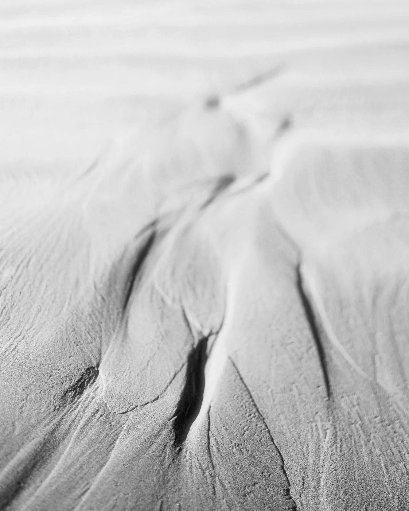 Like sands through the tides, so are the days of our lives 😄

Have always been fascinated with the scapes of the sands created by the tides as we move in and out of them. 

#seascapes #escape #landscape #liquidsand #nature #naturalphotography #newze