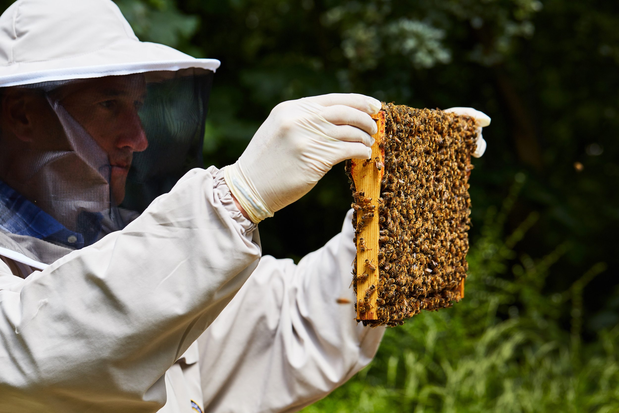 Kirk Webster Healthy Beekeeping: Now and in the future part II