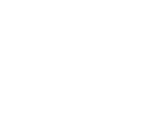 Advantage Organizing and Design LLC