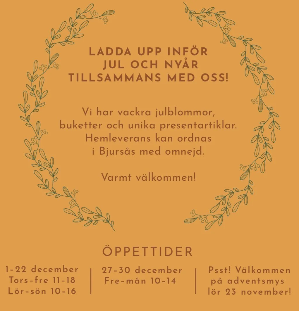 S&ouml;ndags&ouml;ppet! ⭐️ Fr&aring;n 1/12 fram till jul ut&ouml;kar vi &ouml;ppettiderna p&aring; Rotens. 

Tors-fre 11-18 
L&ouml;r-s&ouml;n 10-16

Hemleverans kan som vanligt ordnas inom Bjurs&aring;s med omnejd! Buketter, julblommor, presentp&ari