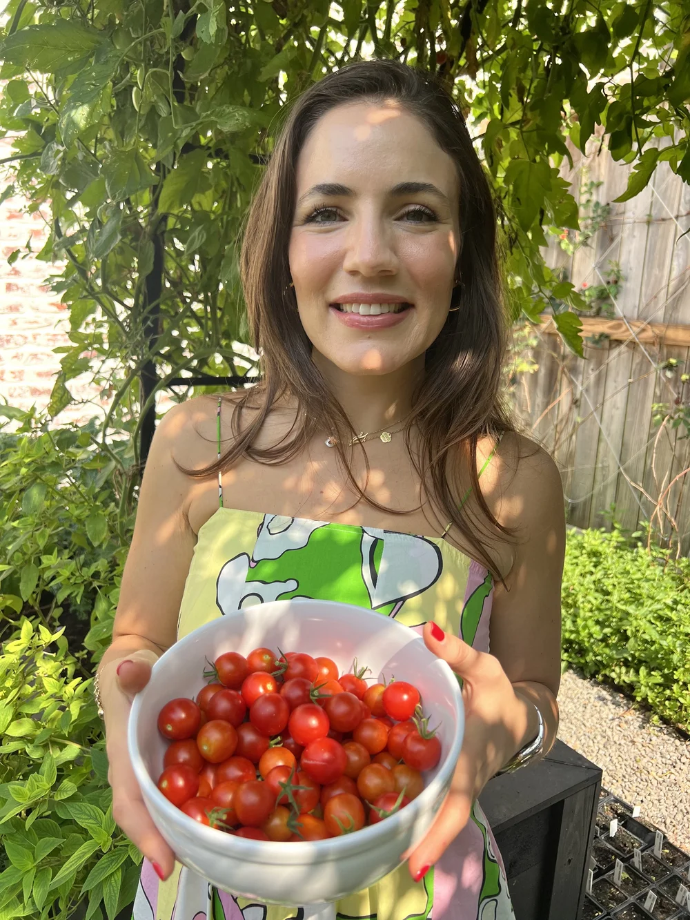 houston-s-spring-tomato-guide-monarch-garden-company