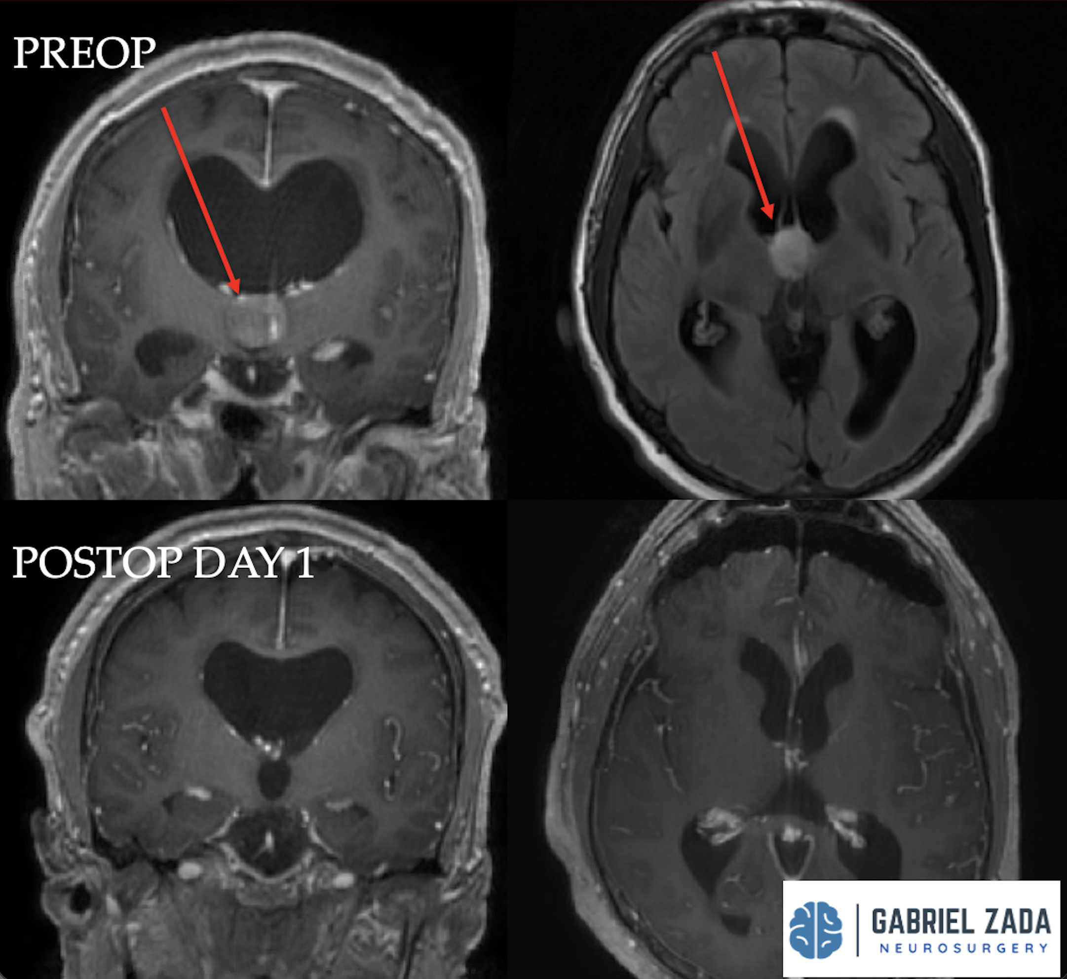 Screenshot 2026-03-09 at 2.05.30 PM.png