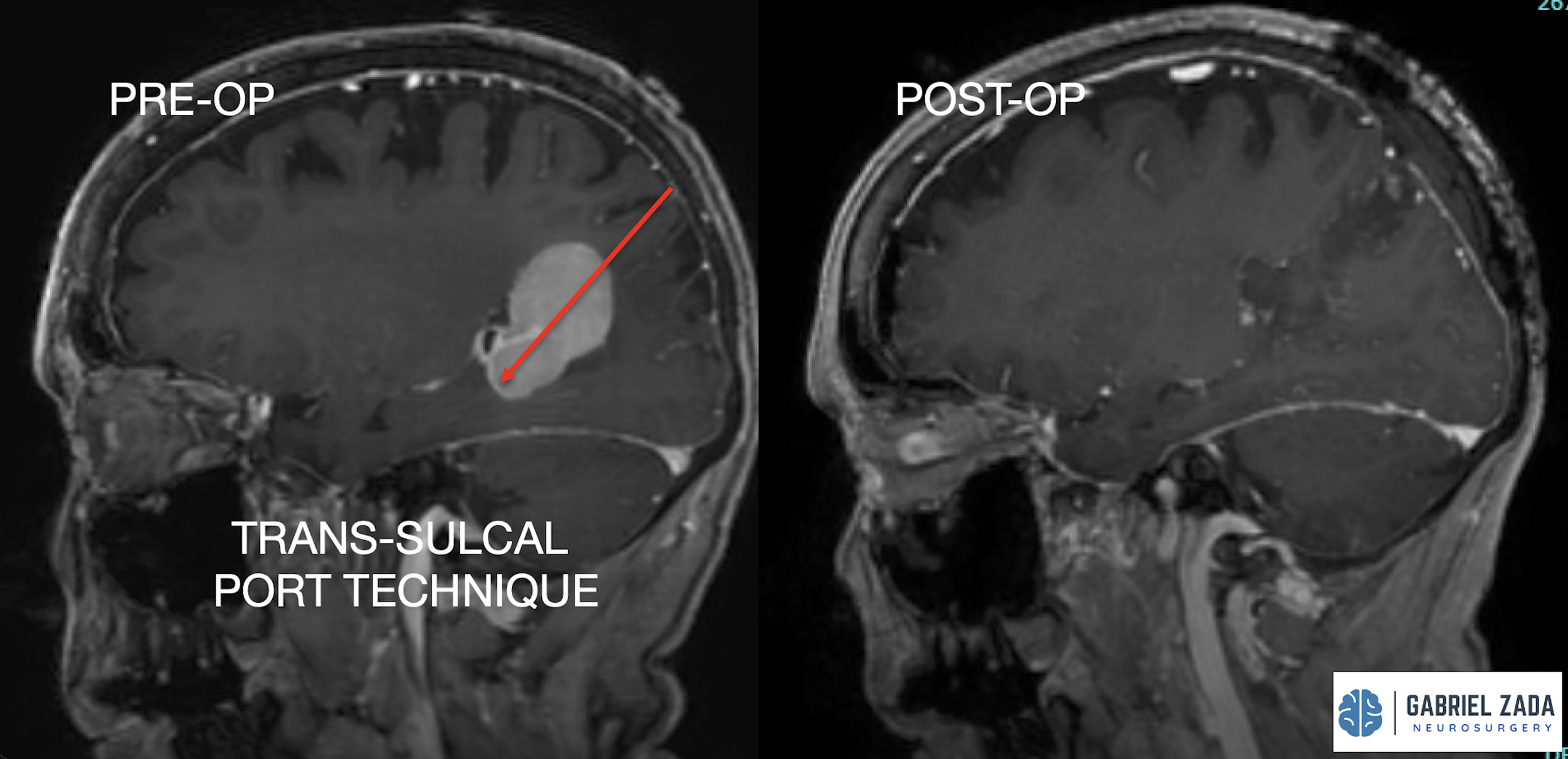 Screenshot 2026-03-09 at 1.58.06 PM.png