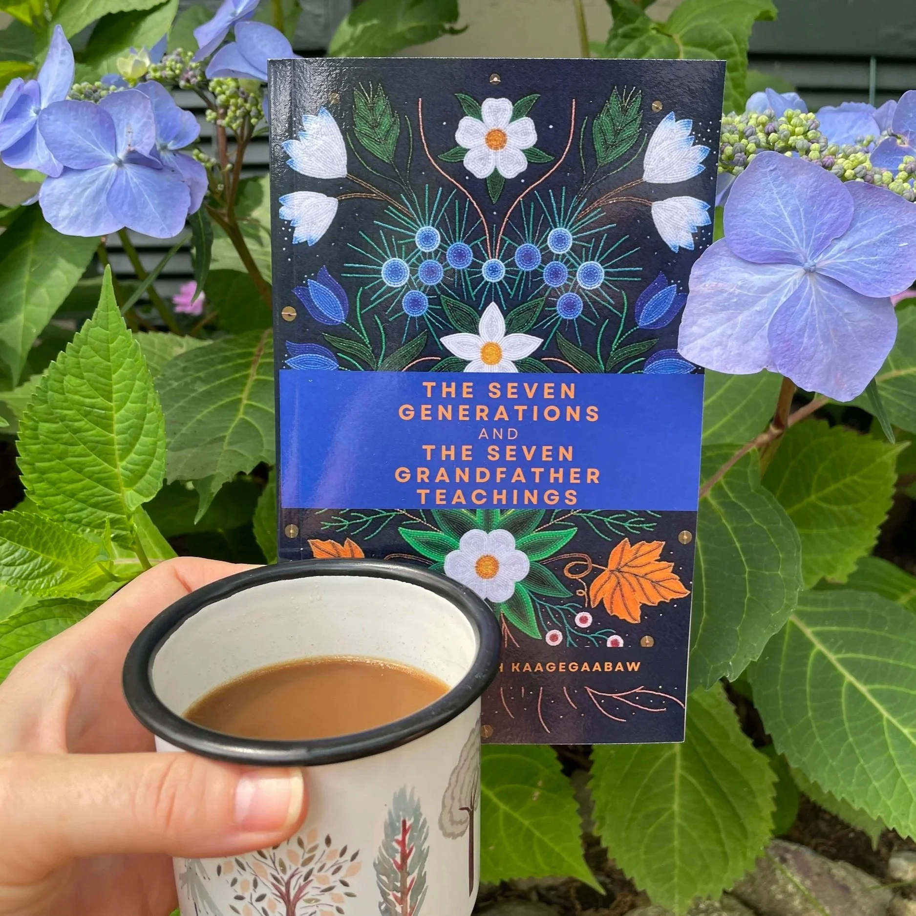 This is such a beautiful book, I hope you'll enjoy it over a cup of coffee, too. Indigenous community teachings from the brilliant teacher and writer James Vukelich.