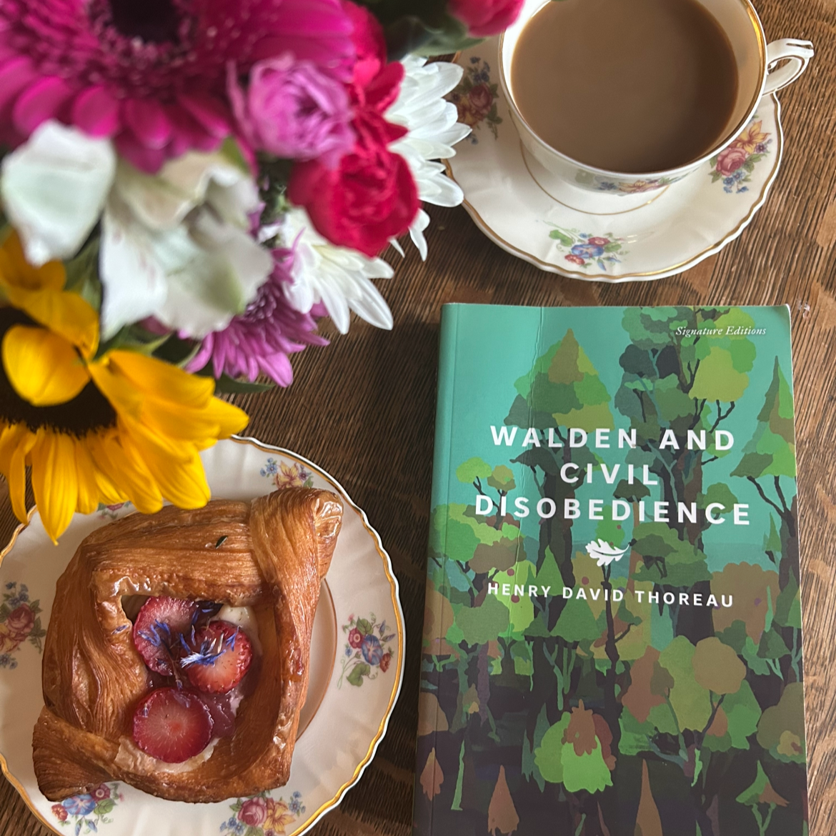 I first read Thoreau in high school and came back to it after driving by Walden Pond day after day in 2025. Self-reliance and intuition are common themes in my life and especially in my early years of parenting through food allergies. Reading it now 