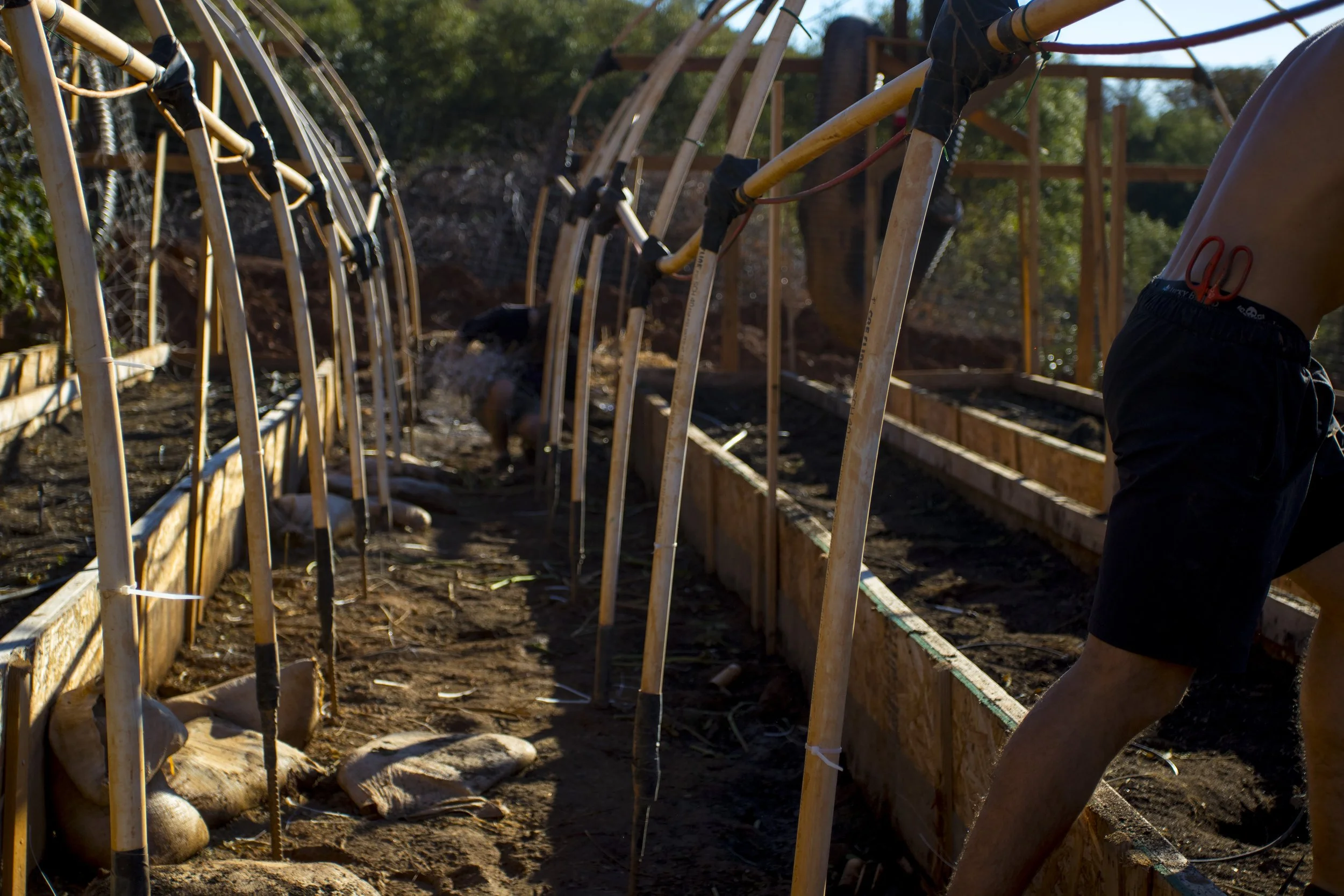 Clearing the Garden.jpg