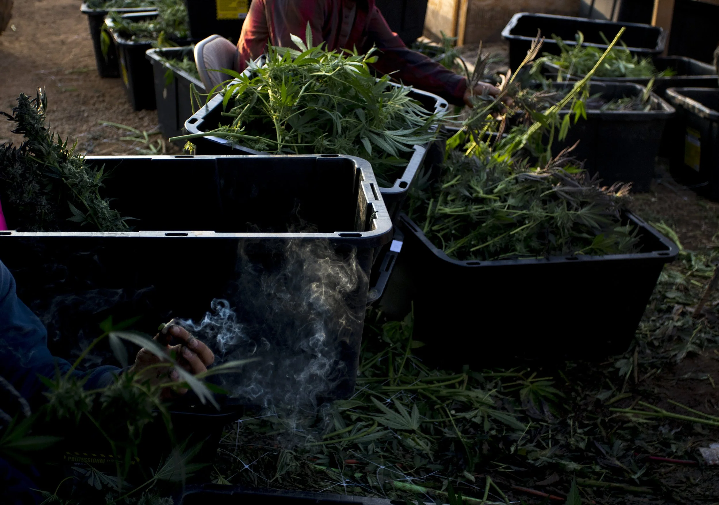 The Smoking Joint.jpg