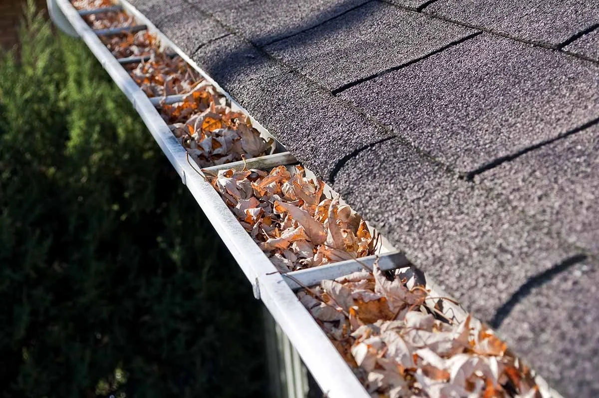 Prevent Clogged Gutters