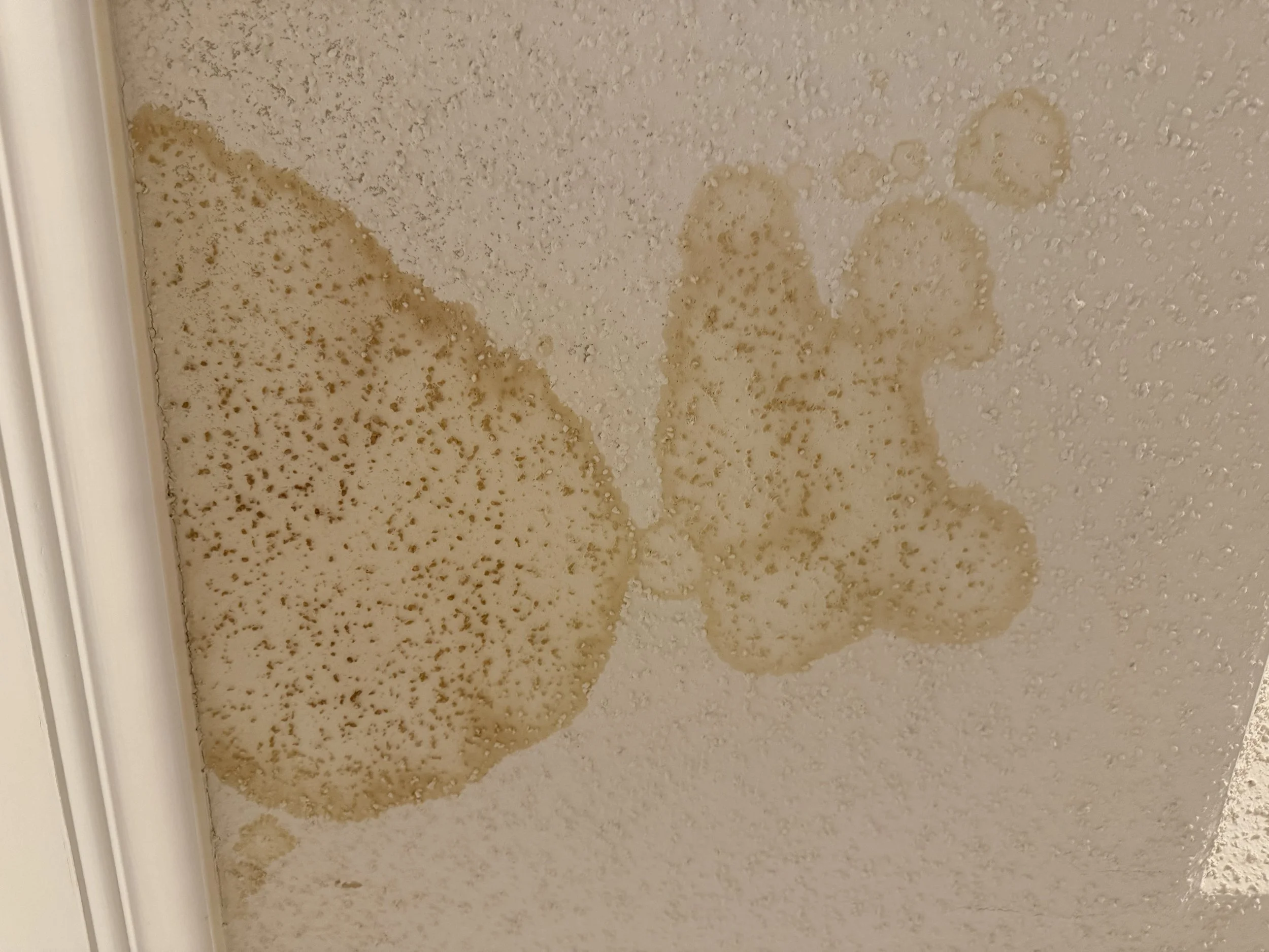 Water damage and water stain on ceiling due to storm damaged roof