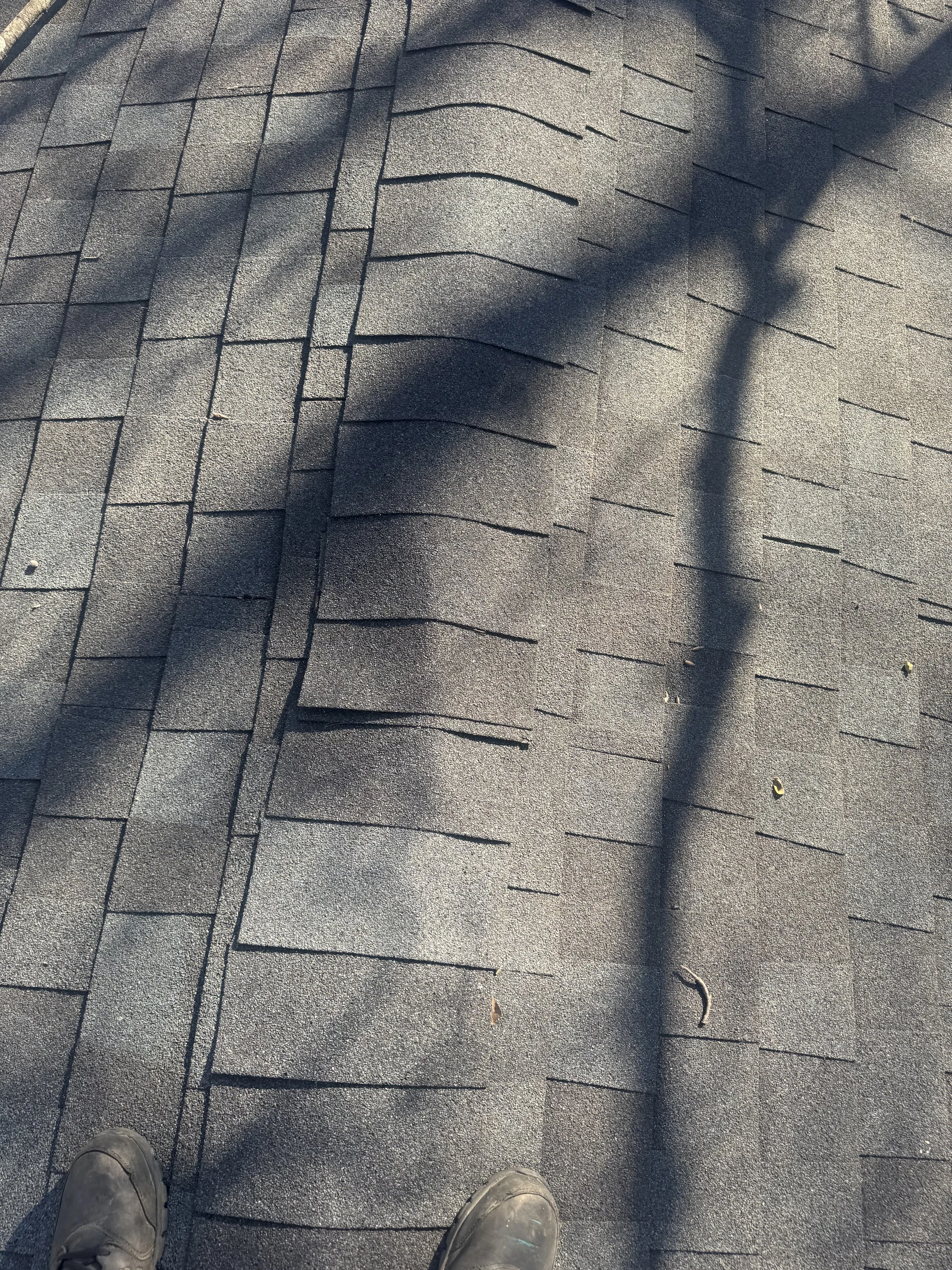 Shingle Roof Inspection
