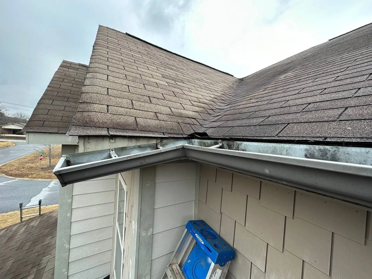 Close-up view of a house roof with asphalt shingles, showing a new gutter installation, part of a ladder leaning against the wall, overcast sky, and neighboring houses in the background.