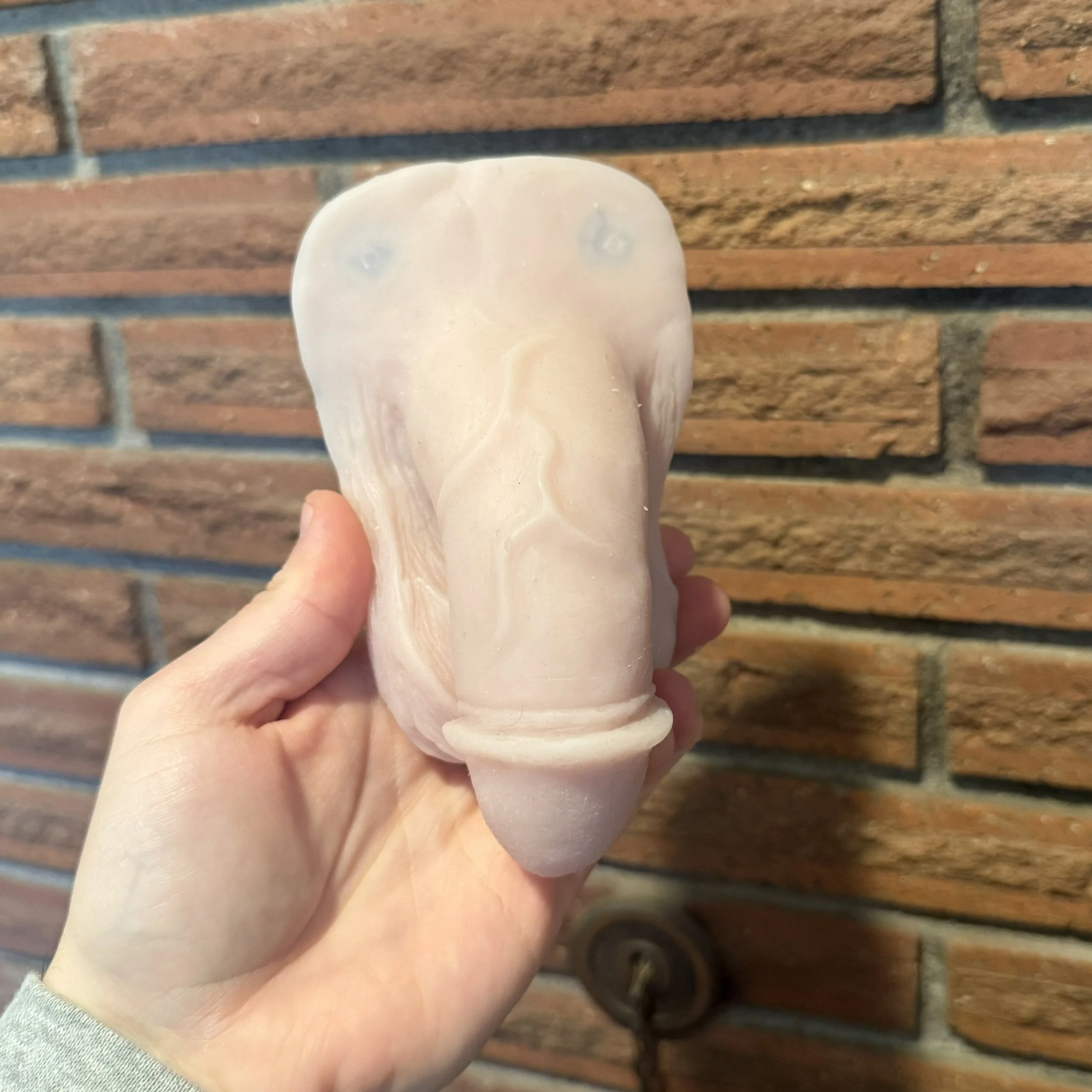 Stag Circumcised #47