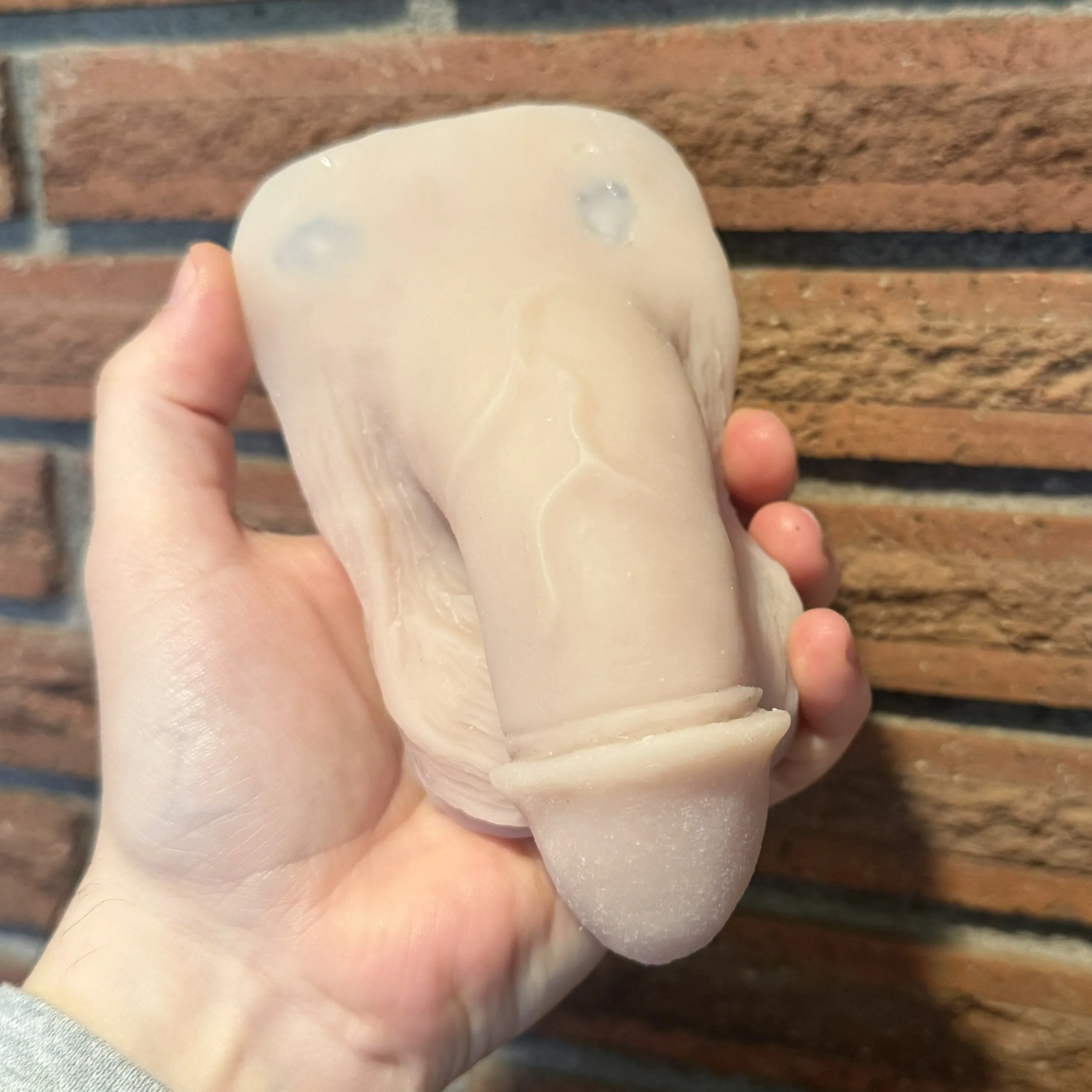 Stag Circumcised #41