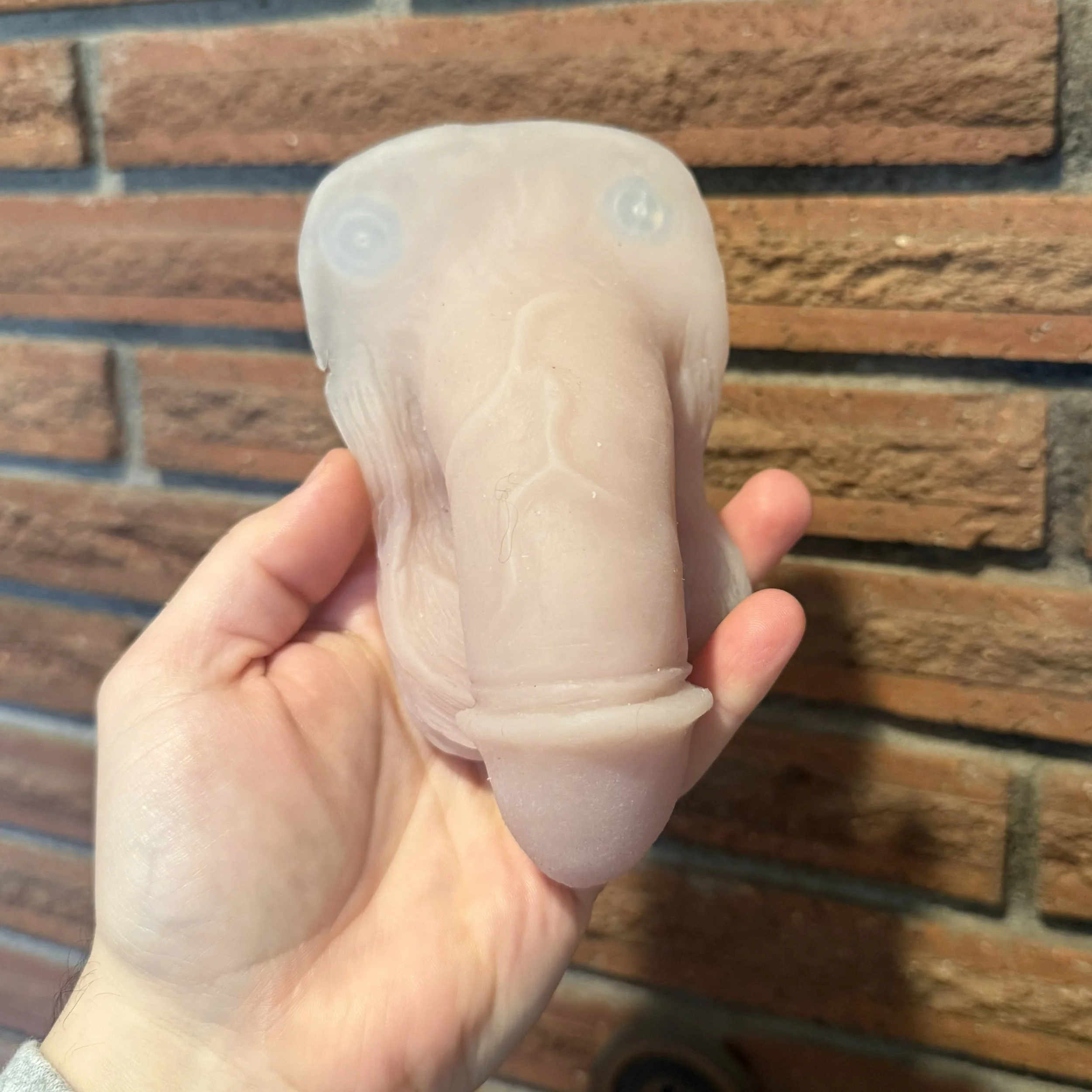 Stag Circumcised #40