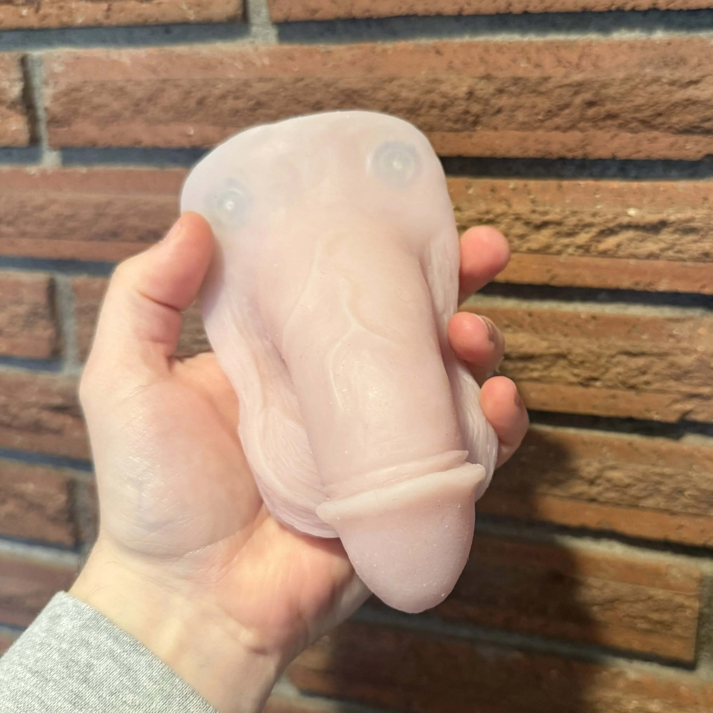 Stag Circumcised #43