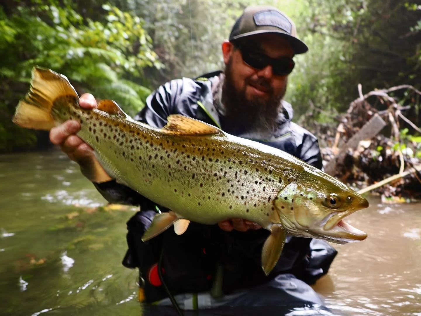 TROUT FIX NZ (2).jpeg
